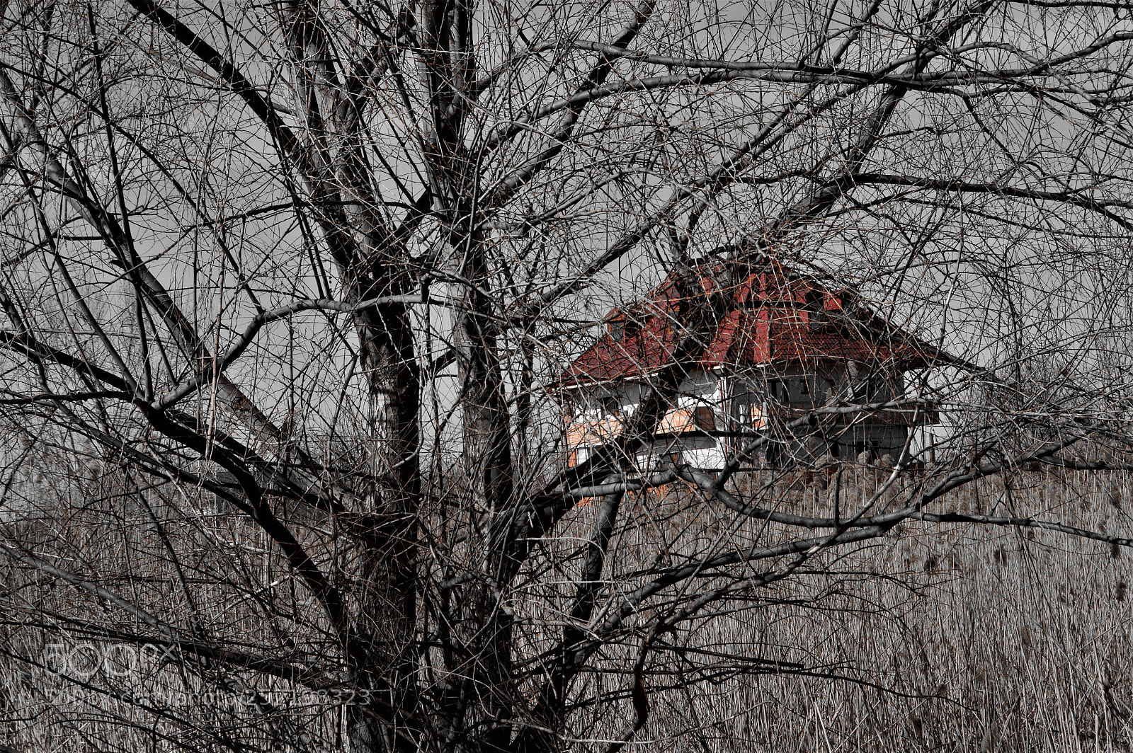 Nikon D3200 sample photo. Gingerbread house photography