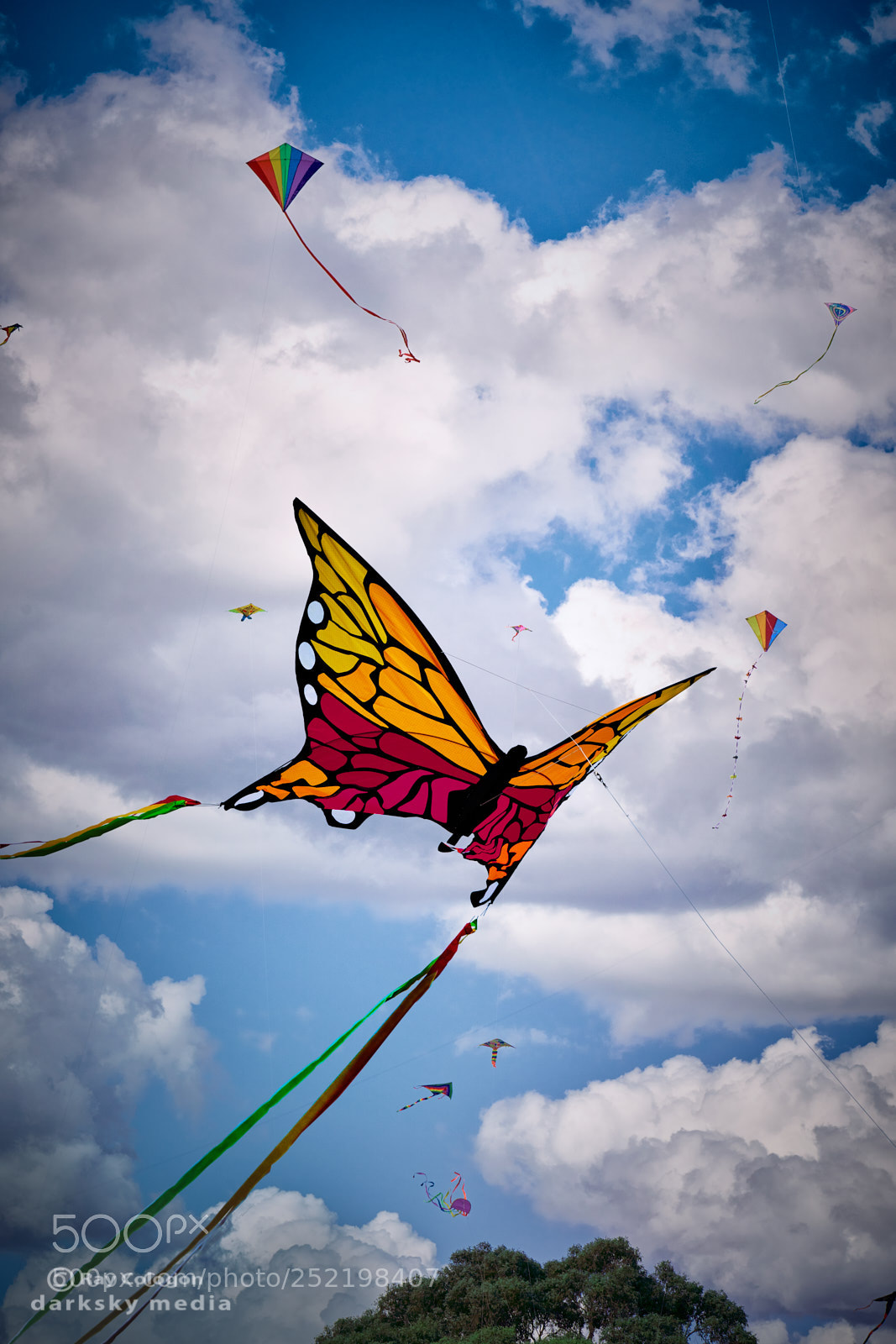 Sony a7R III sample photo. Butterfly kite photography