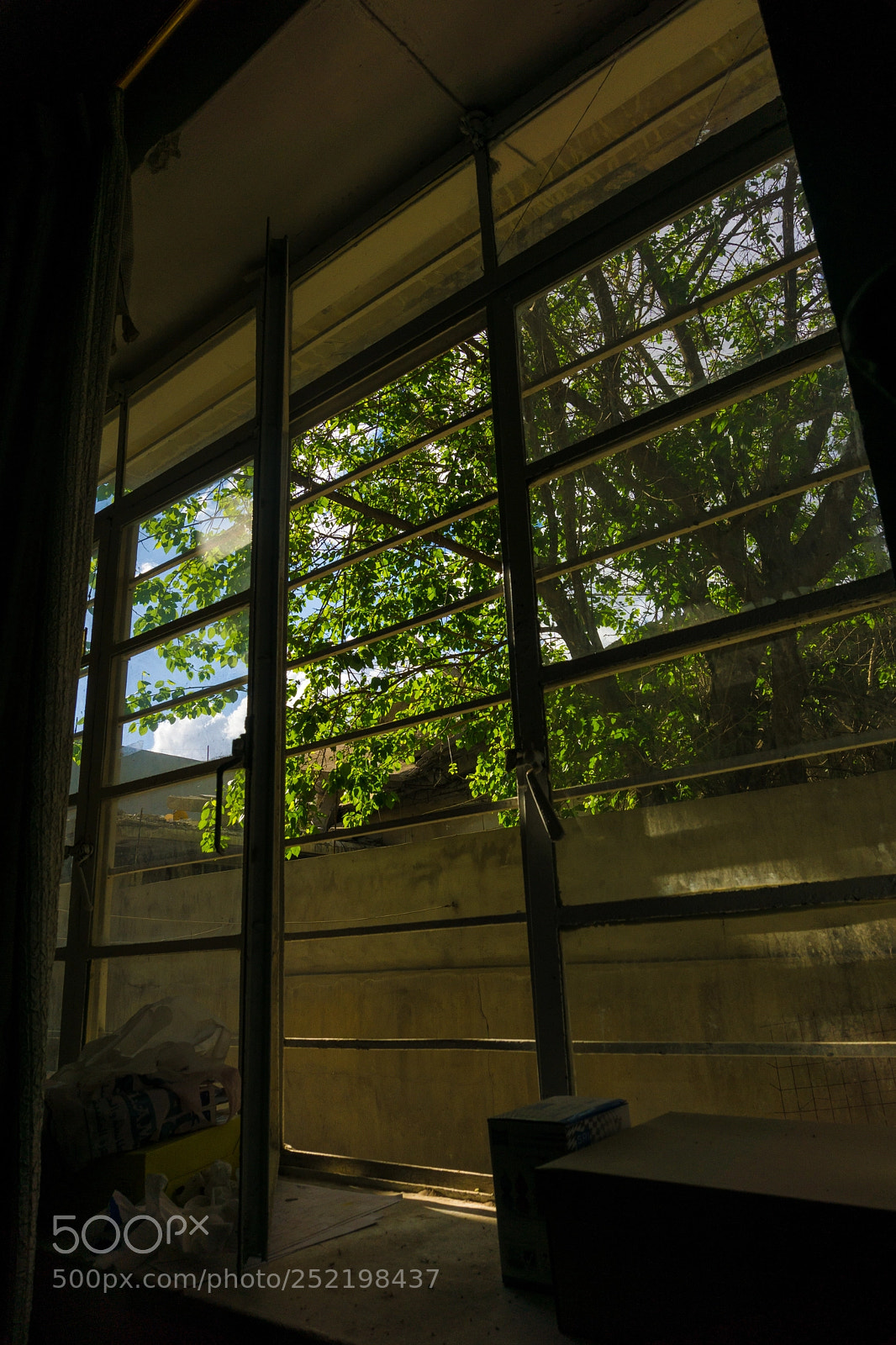 Sony a6000 sample photo. My window photography