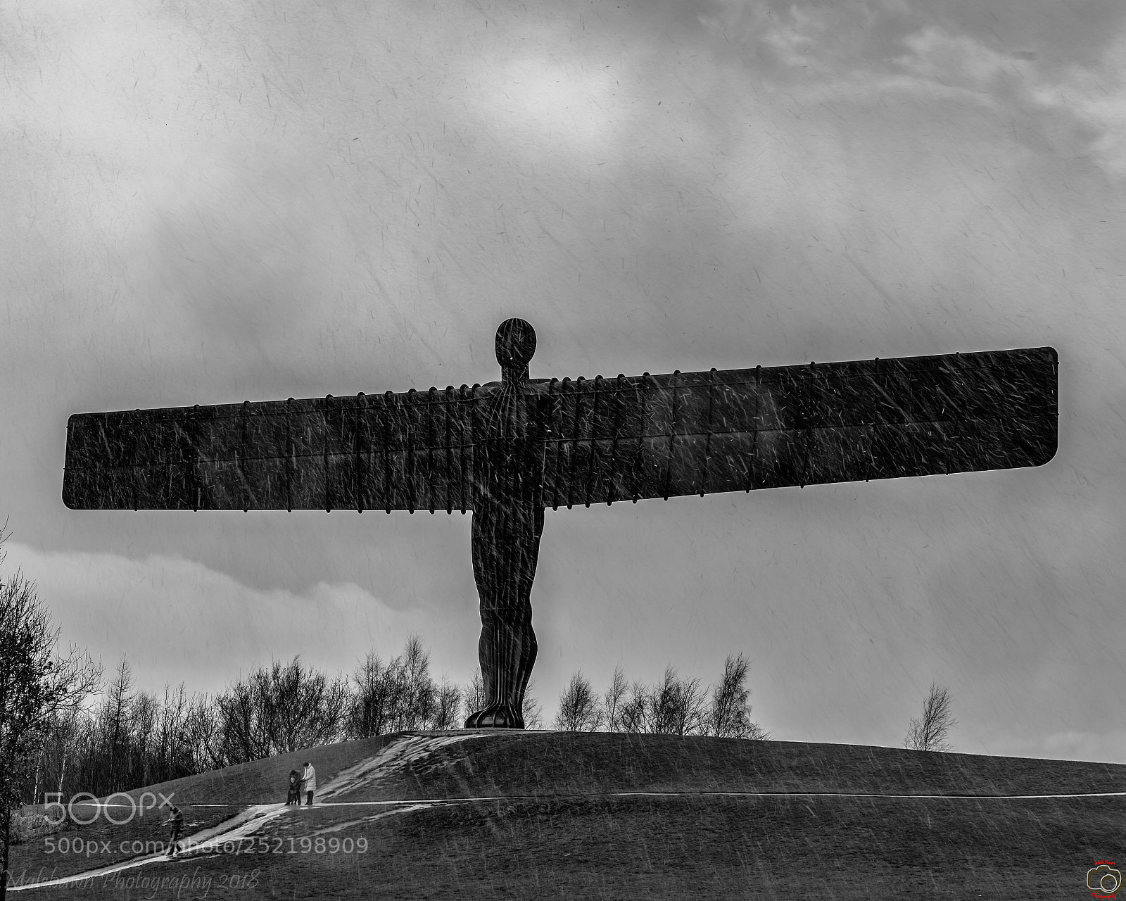 Canon EOS 6D Mark II sample photo. In all weathers photography
