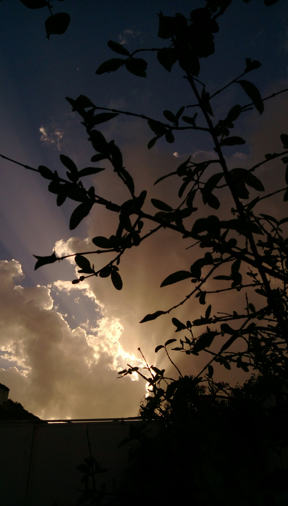 HTC DESIRE 828 DUAL SIM sample photo