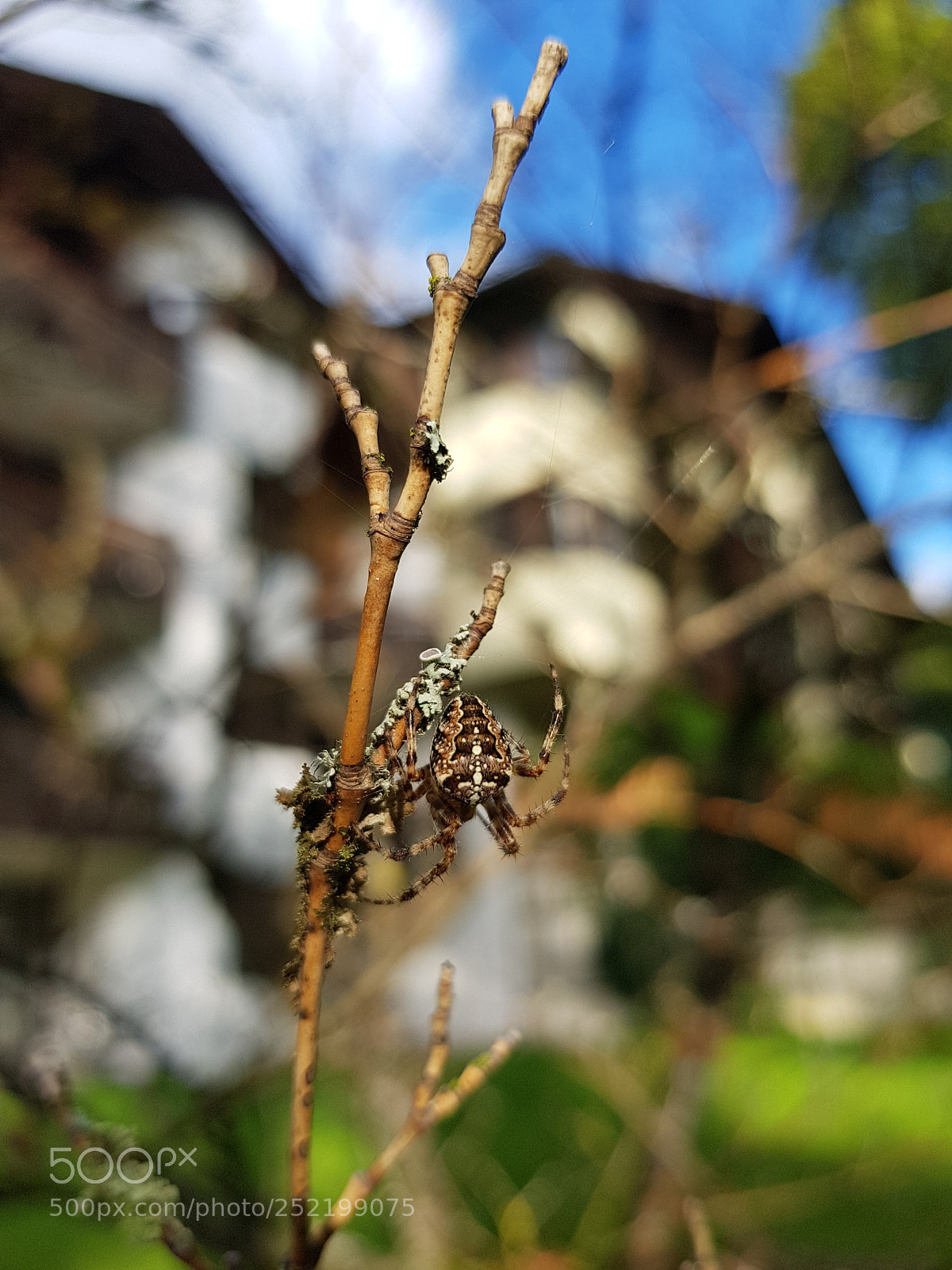 Samsung Galaxy S8 sample photo. Untitled photography
