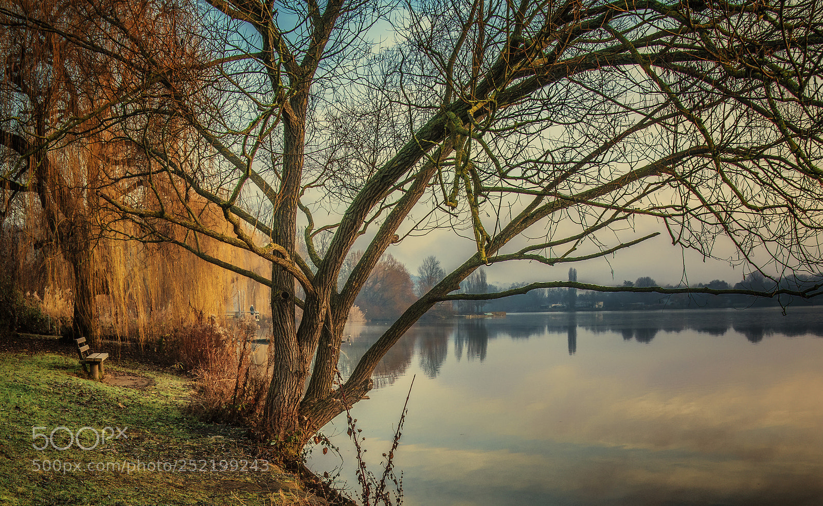 Nikon D7100 sample photo. The sound of silence photography