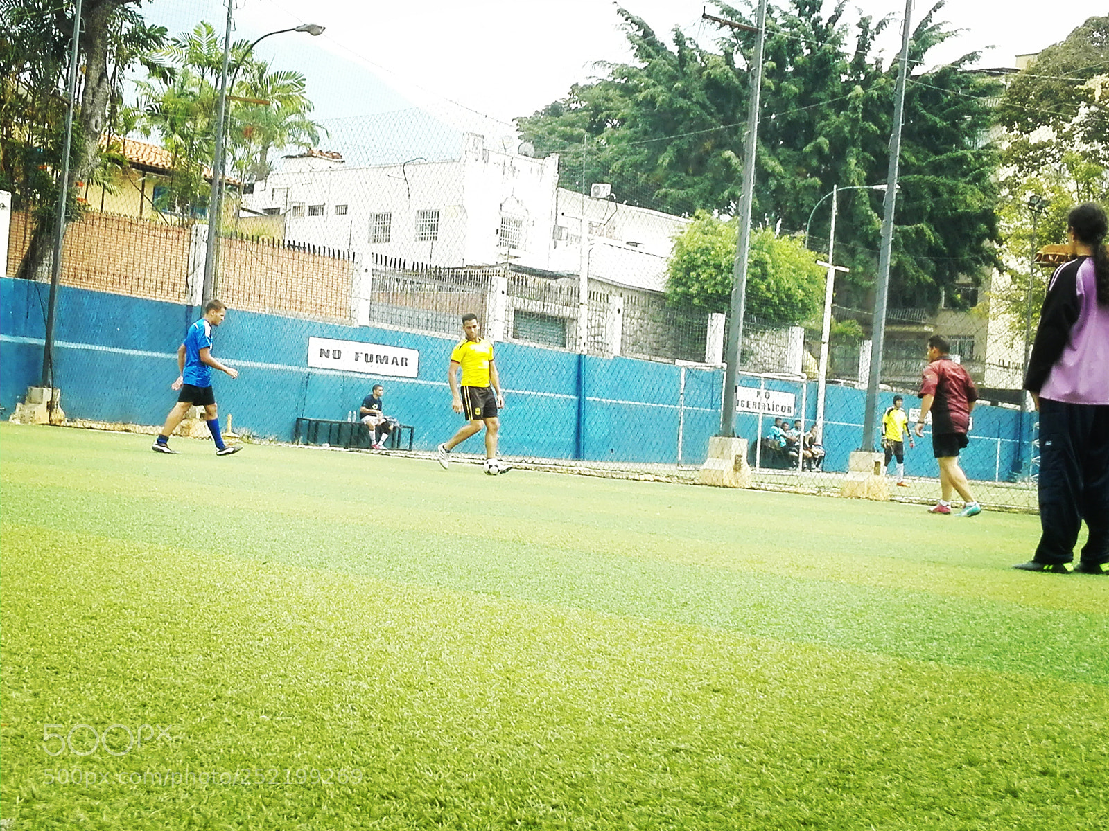 HUAWEI P8 Lite sample photo. Untitled photography