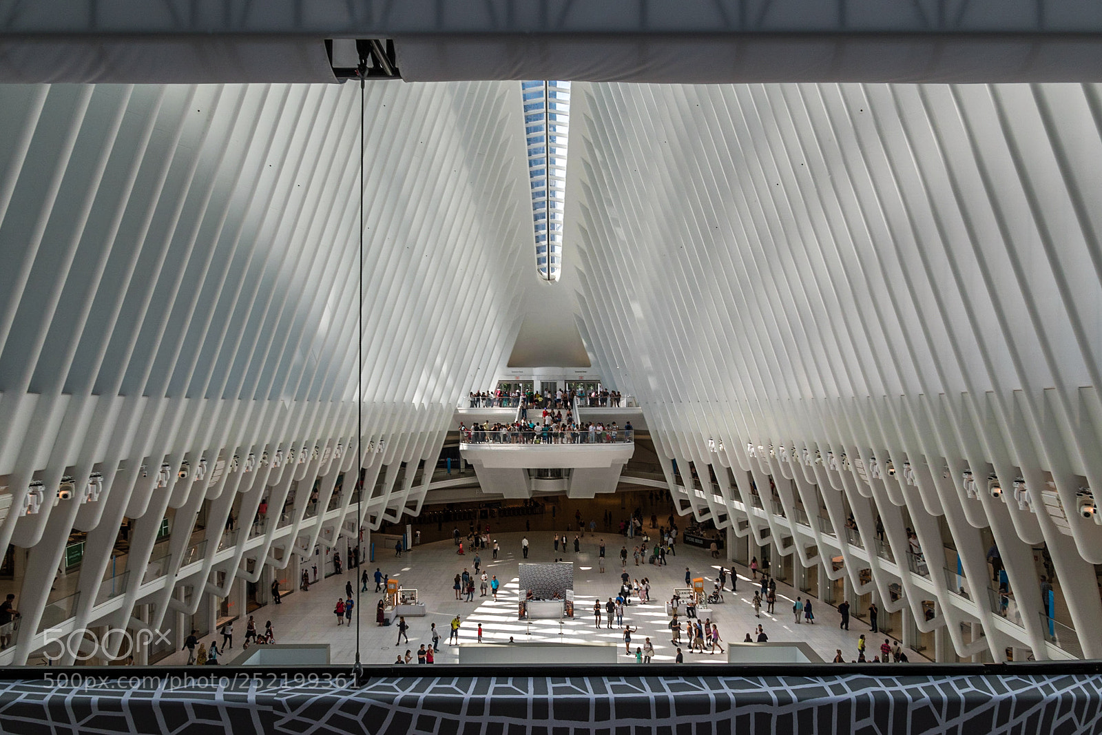 Nikon D5500 sample photo. The oculus photography