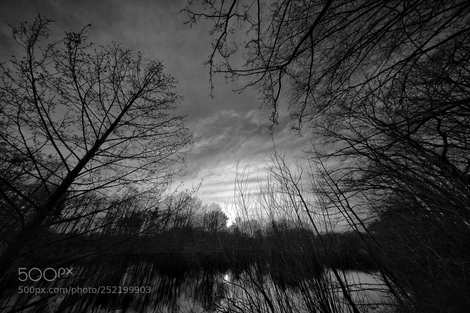 Sony a7R sample photo. Evening on the pond photography