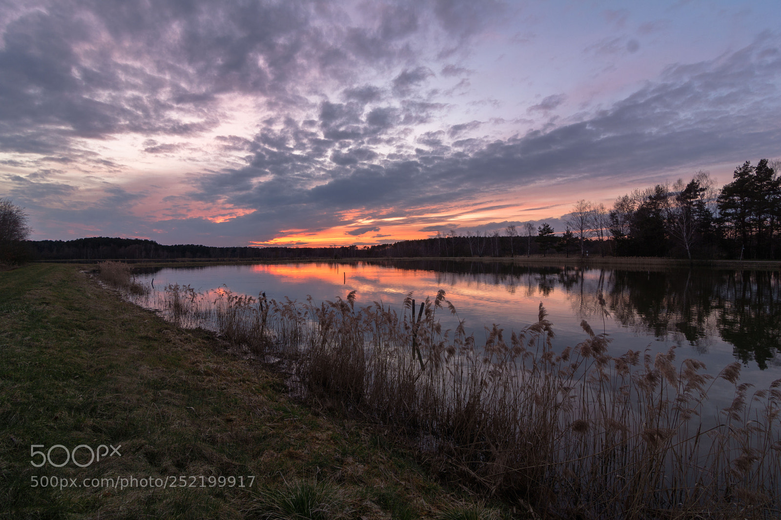 Nikon D5200 sample photo. Sunset photography