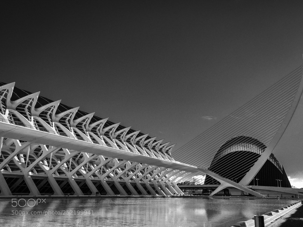 Apple iPhone 6 sample photo. Valencia contrast photography