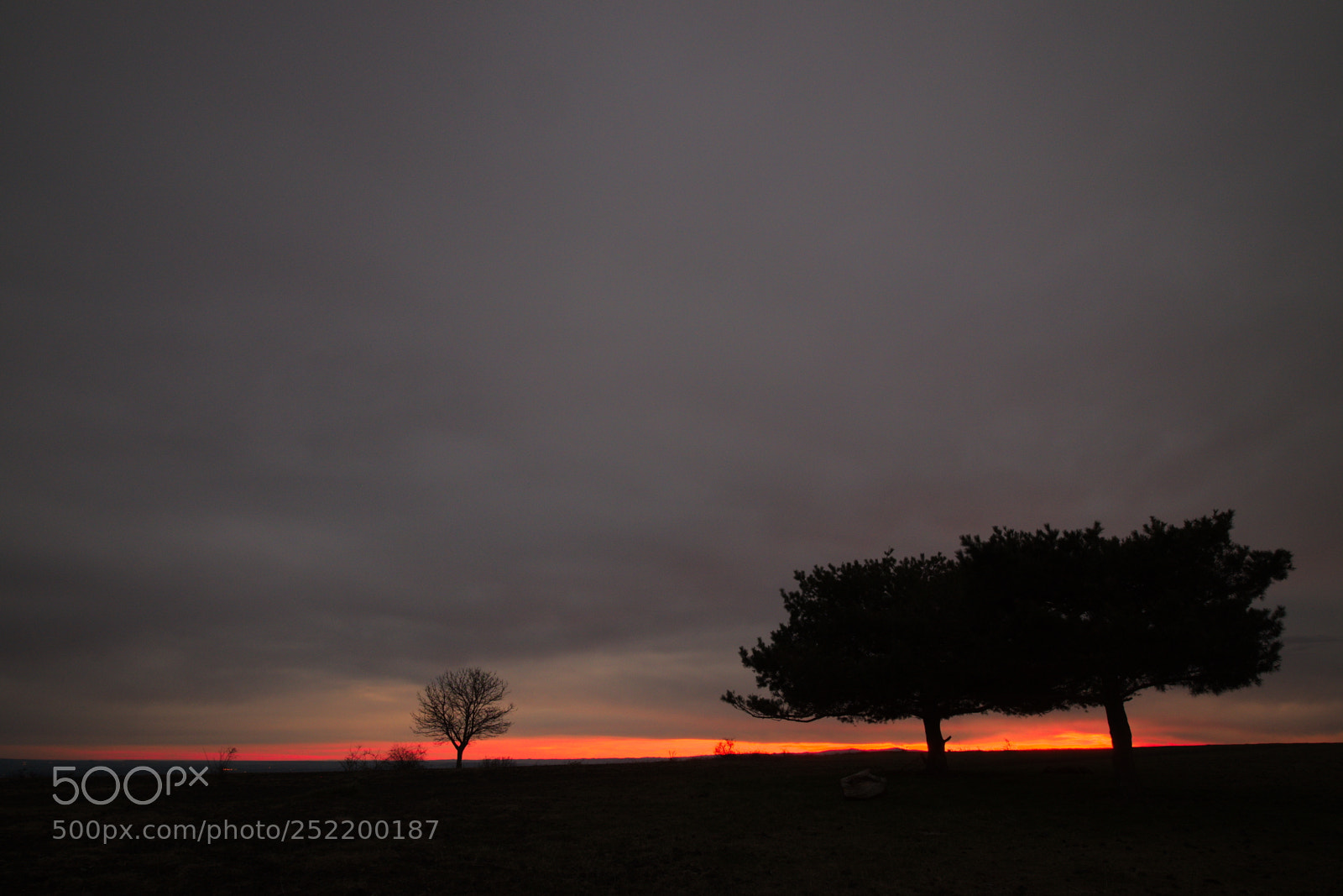 Fujifilm X-T1 sample photo. Pieds de feu photography