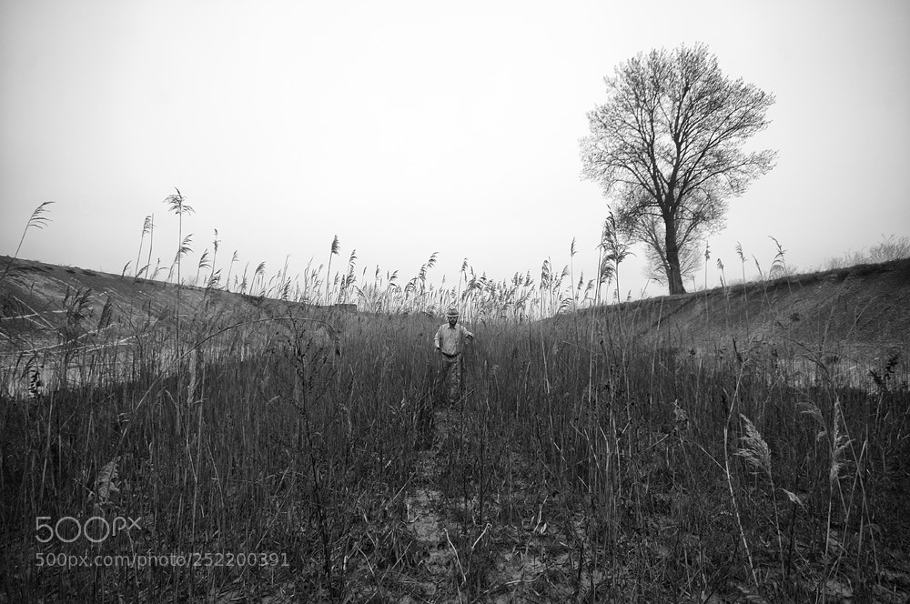 Nikon D300 sample photo. The way photography