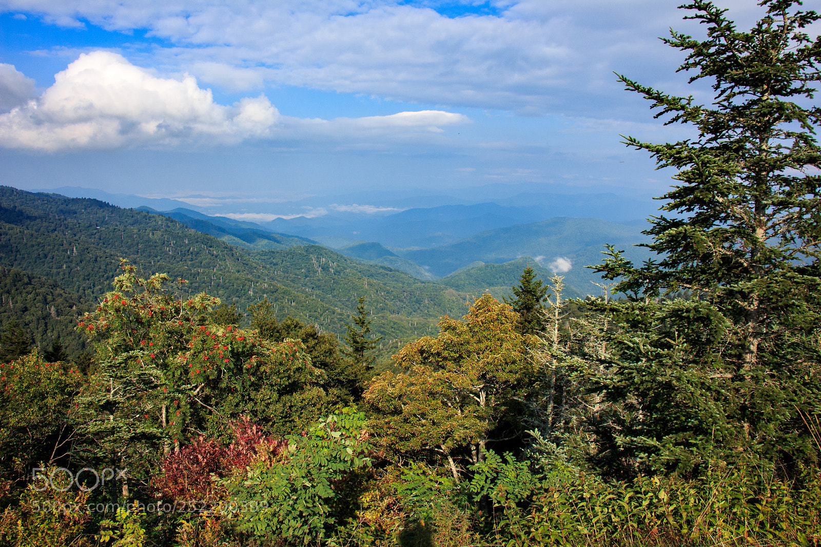 Canon EOS 650D (EOS Rebel T4i / EOS Kiss X6i) sample photo. Travelling the parkway photography