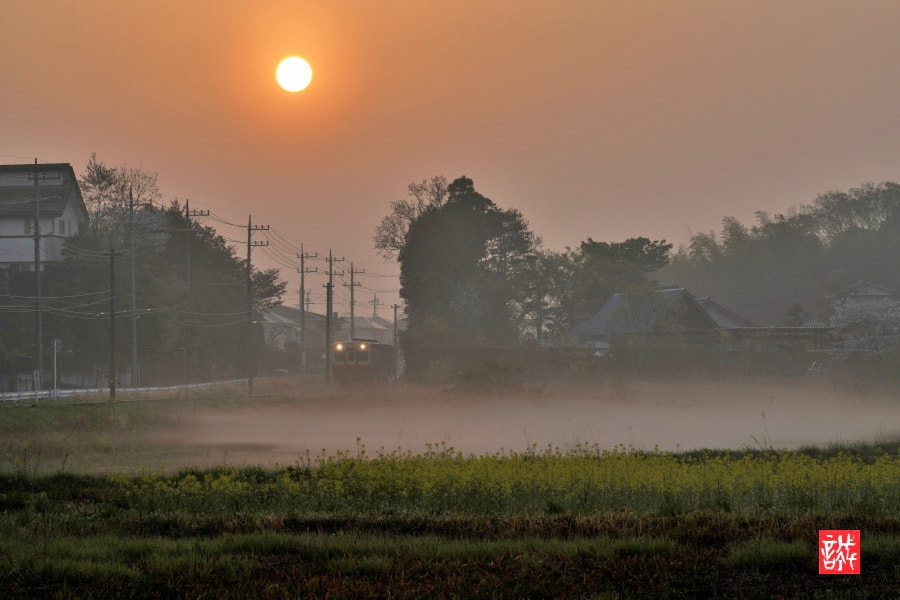 Sony FE 70-300mm F4.5-5.6 G OSS sample photo. Morning 0404 photography