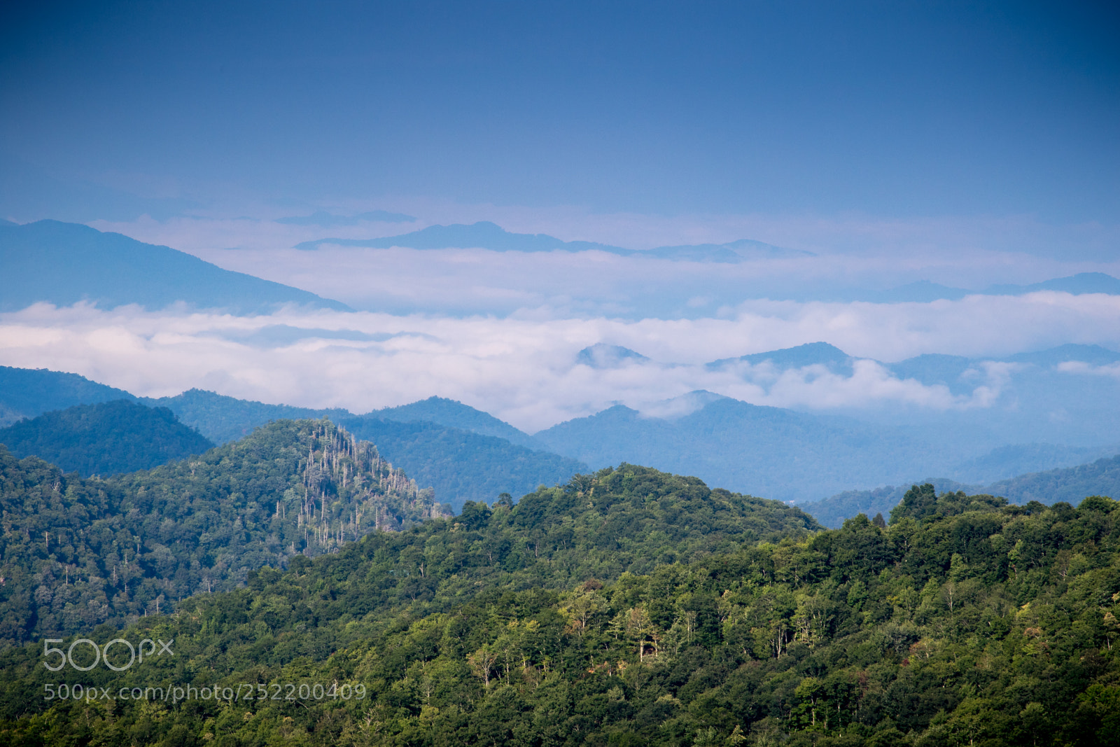 Canon EOS 7D Mark II sample photo. Travelling the parkway photography