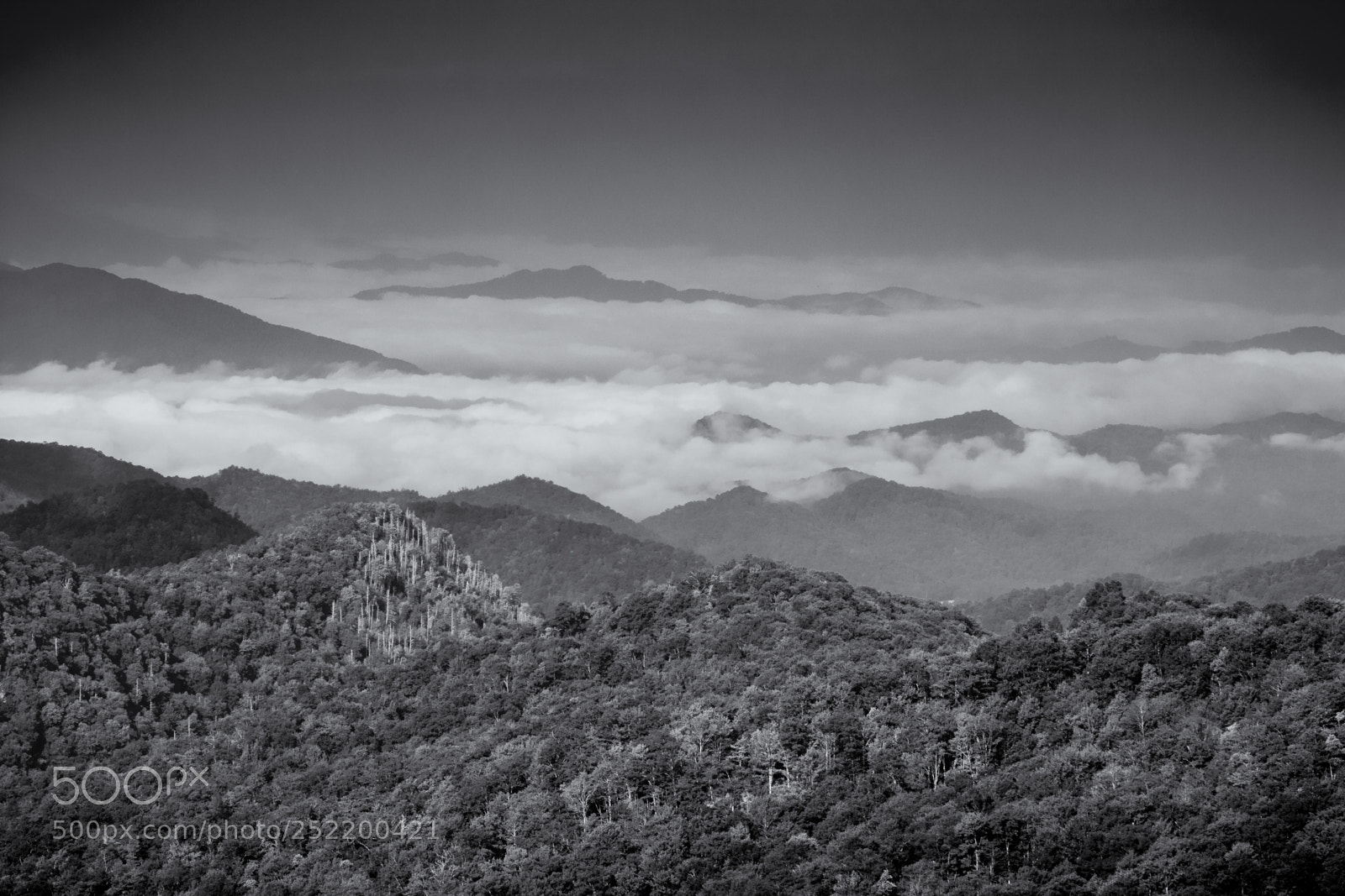 Canon EOS 7D Mark II sample photo. Travelling the parkway photography