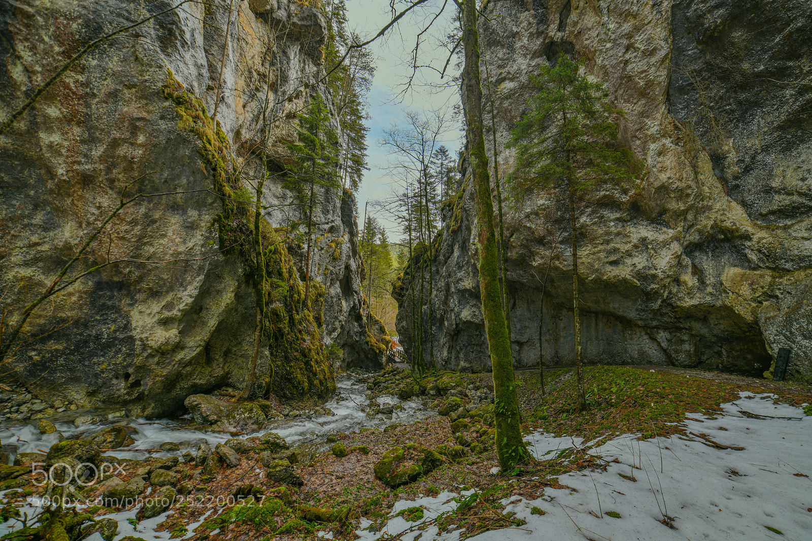 Nikon D850 sample photo. Falkenschlucht photography