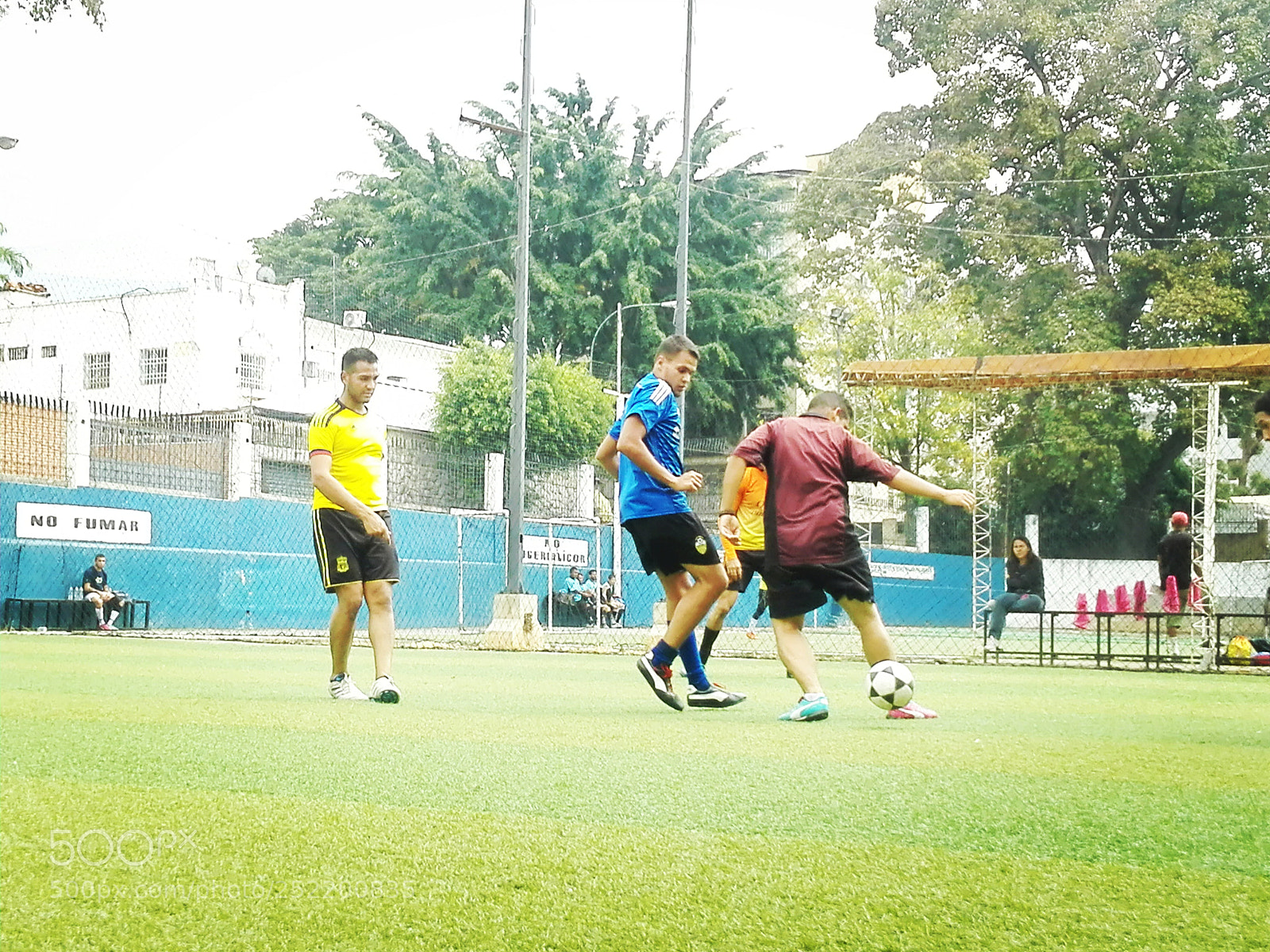 HUAWEI P8 Lite sample photo. Untitled photography