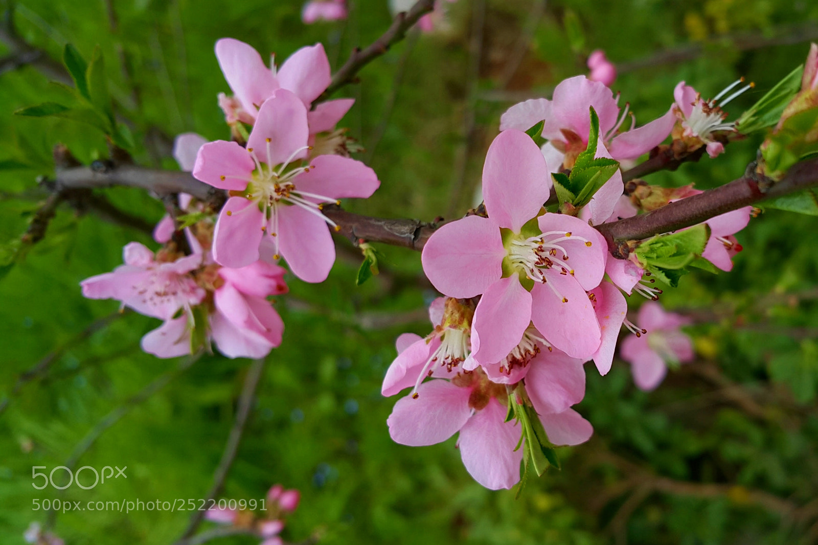 Samsung Galaxy Note4 sample photo. 279 photography