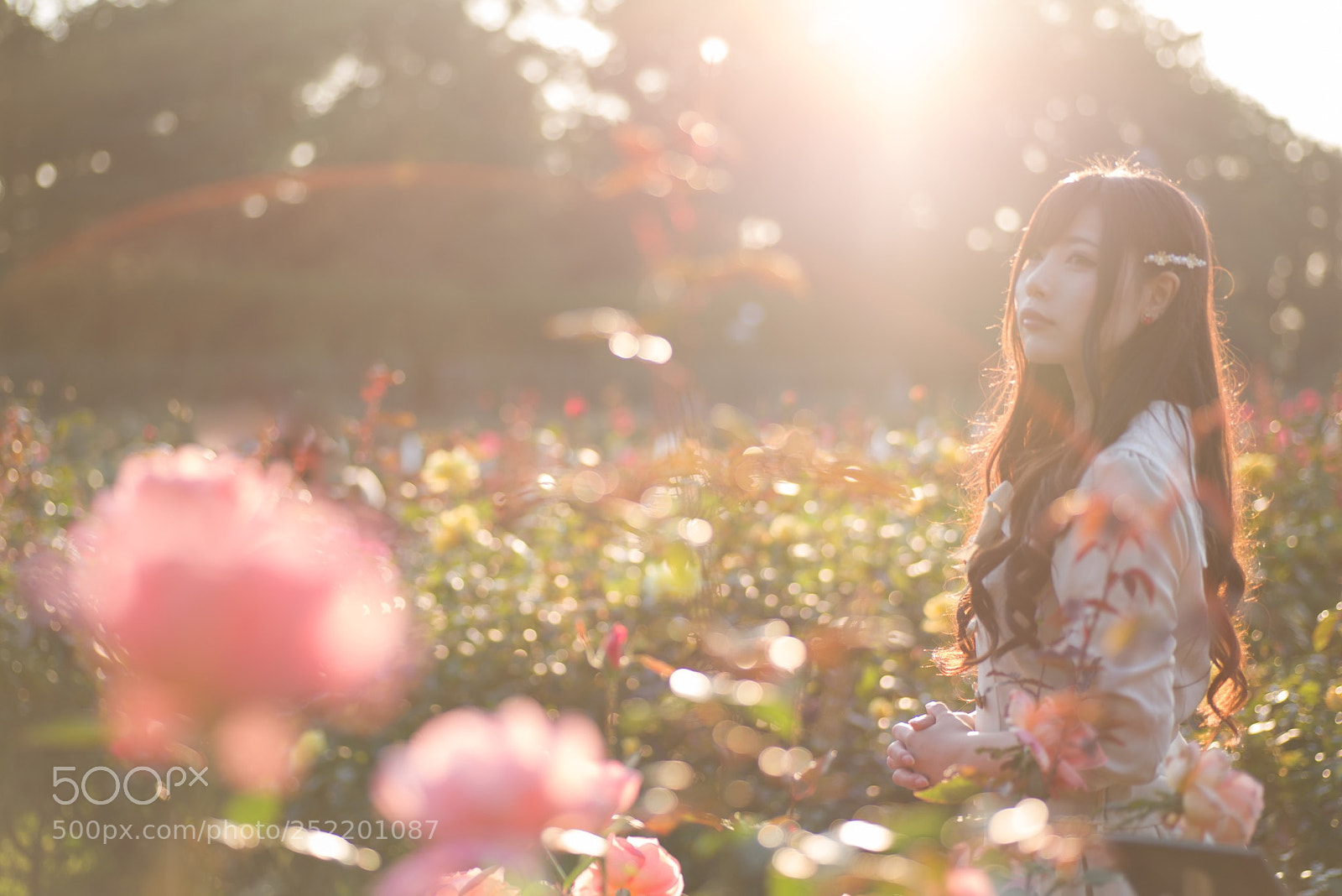 Pentax K-1 sample photo. No title photography