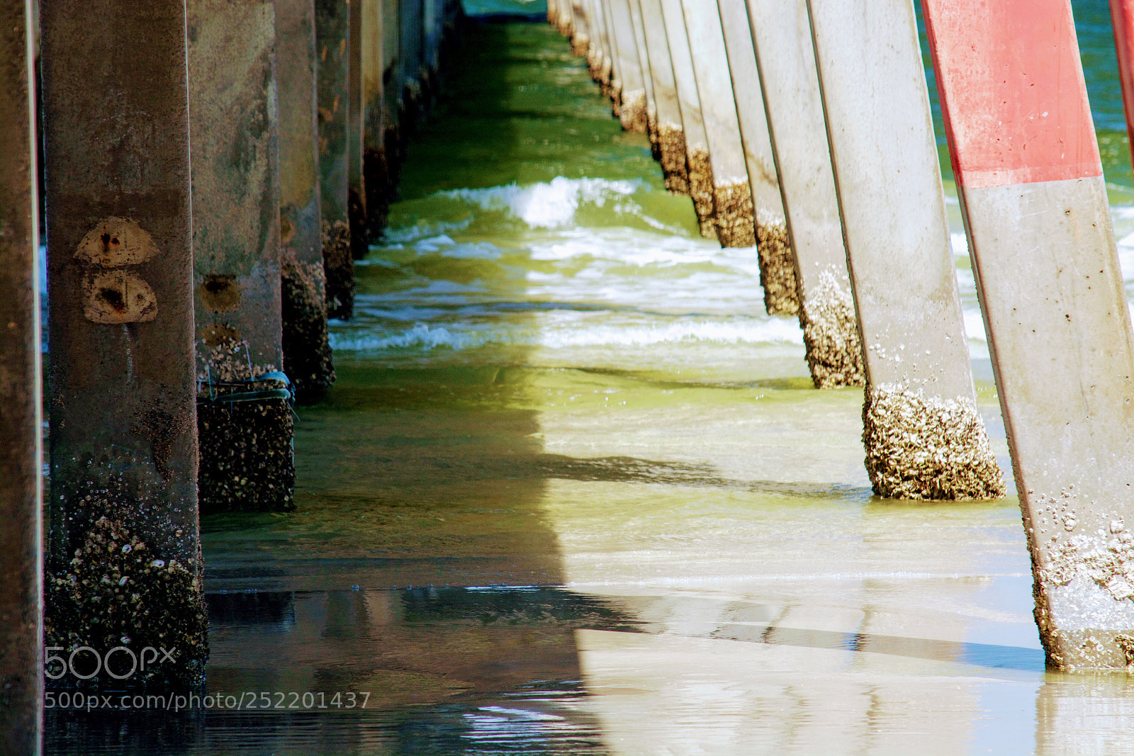 Nikon D7100 sample photo. The beach will be photography