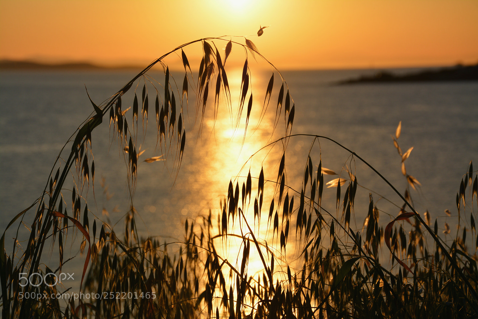 Nikon D5200 sample photo. Untitled photography