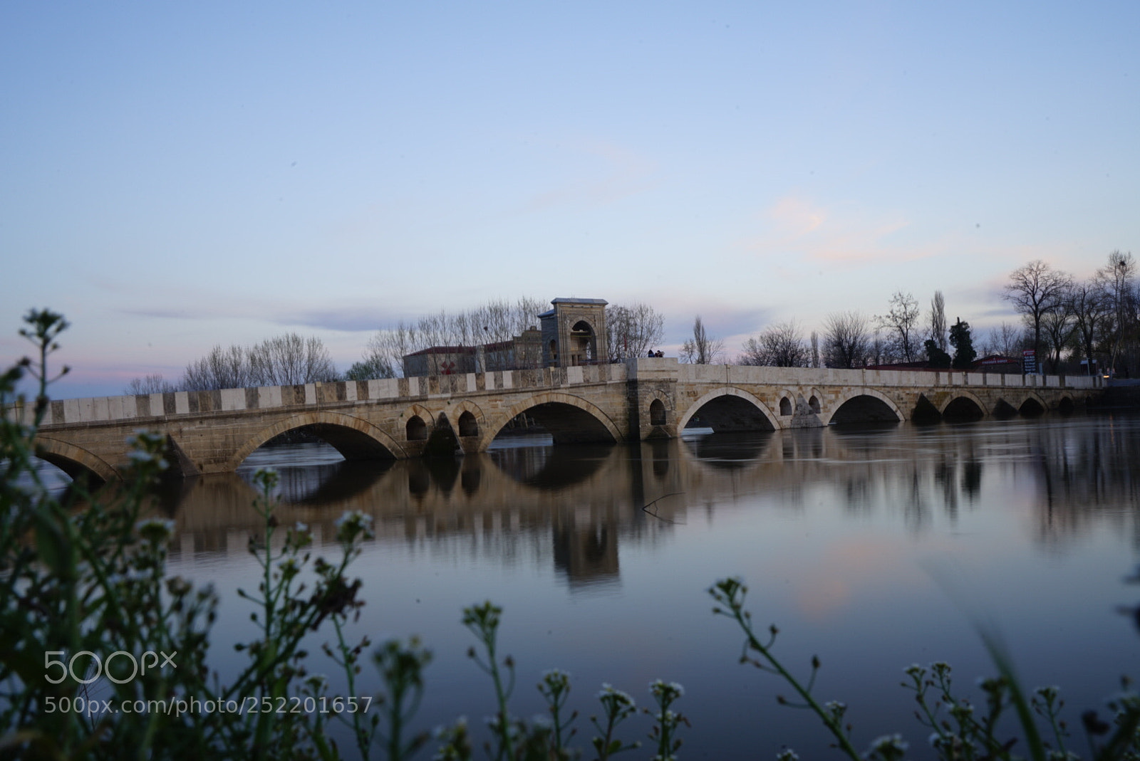 Sony a7 II sample photo. Untitled photography