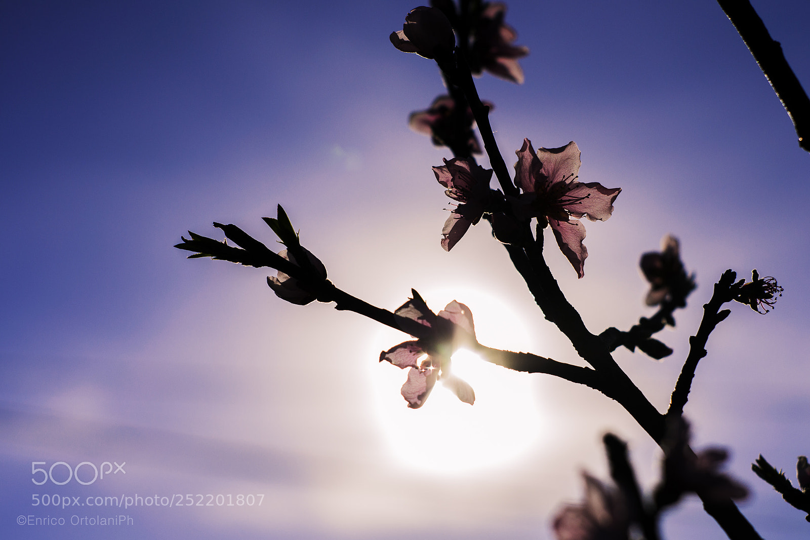 Nikon D3100 sample photo. Primavera. photography