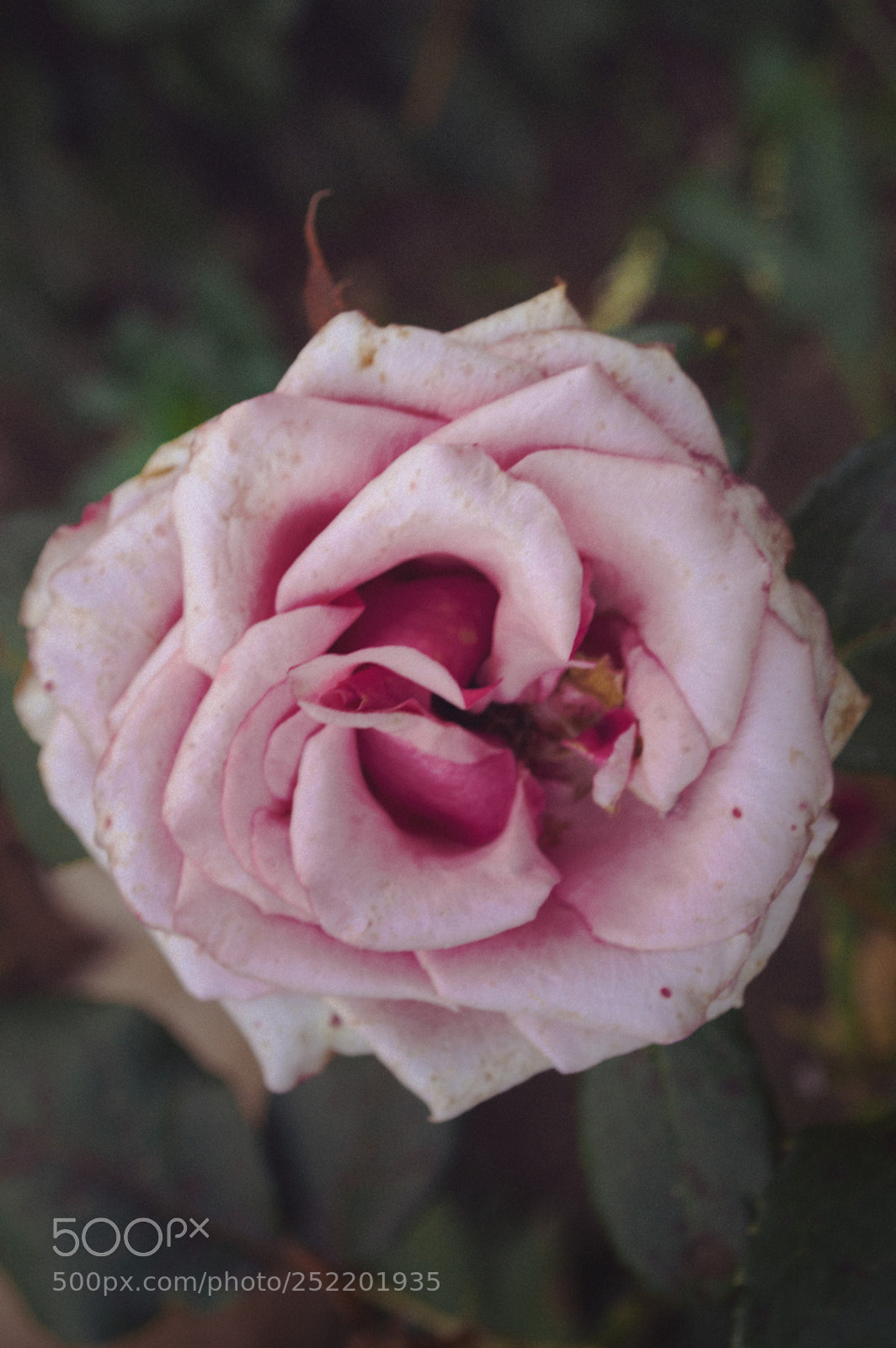 Nikon D3200 sample photo. 73 photography