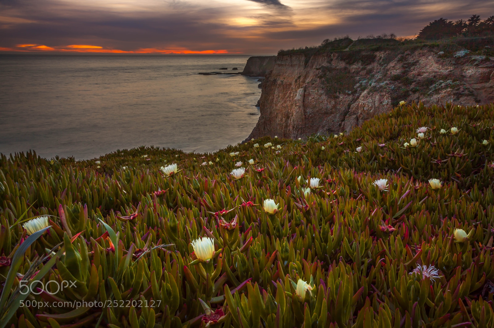 Canon EOS 5D Mark II sample photo. Davenport beach photography