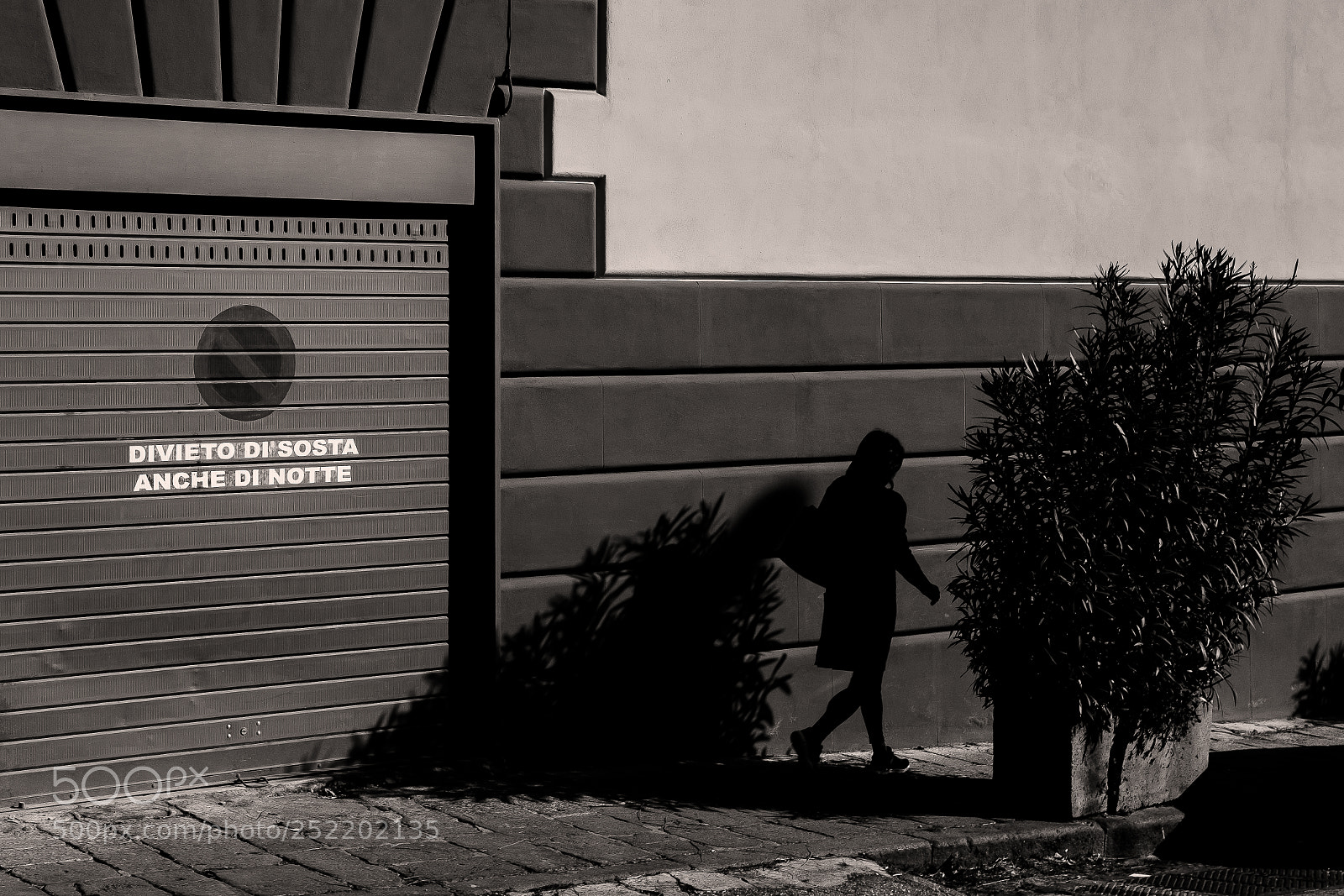 Fujifilm X-E2S sample photo. Don't stop photography