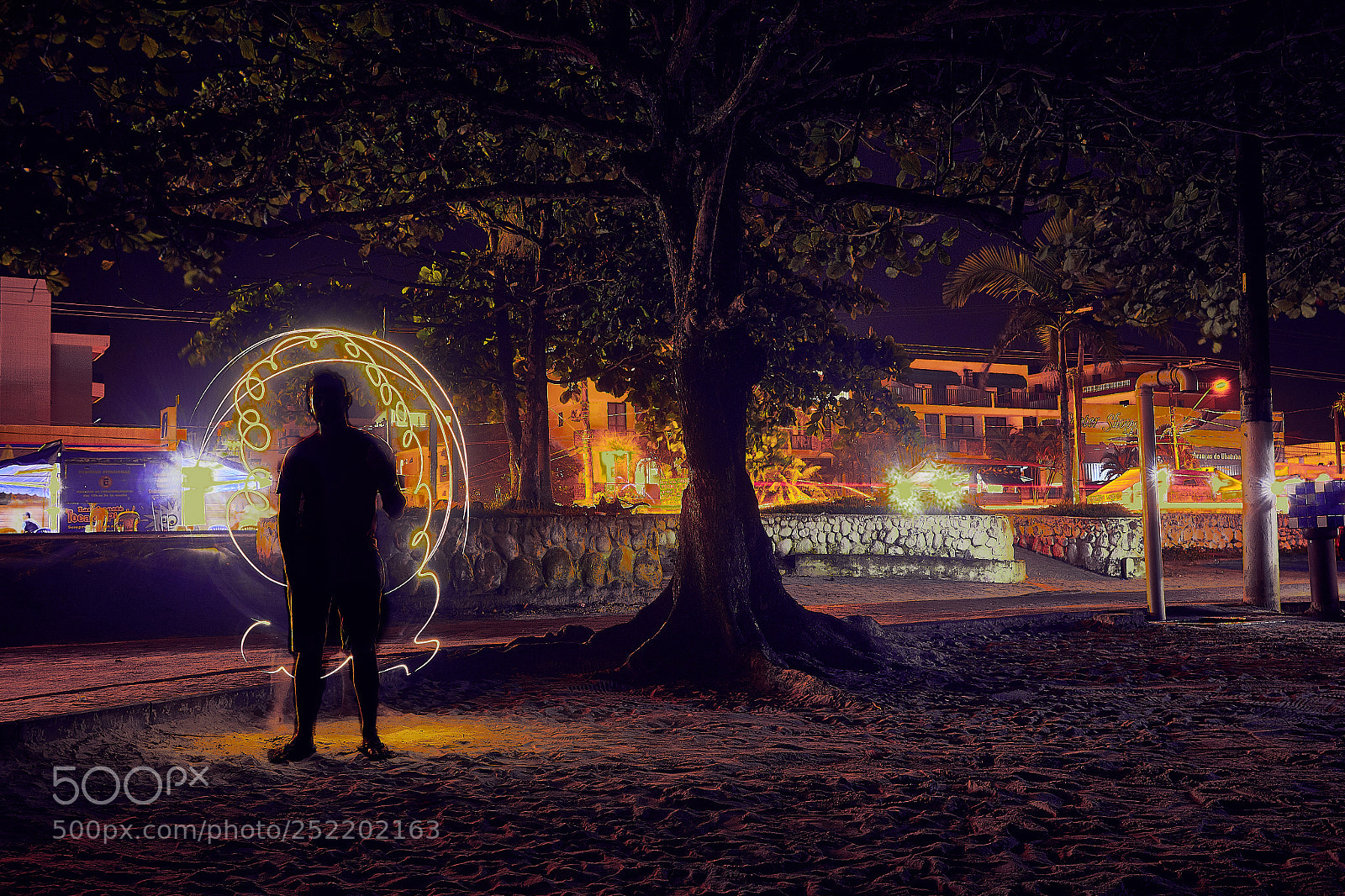 Canon EOS 600D (Rebel EOS T3i / EOS Kiss X5) sample photo. Tree of light photography