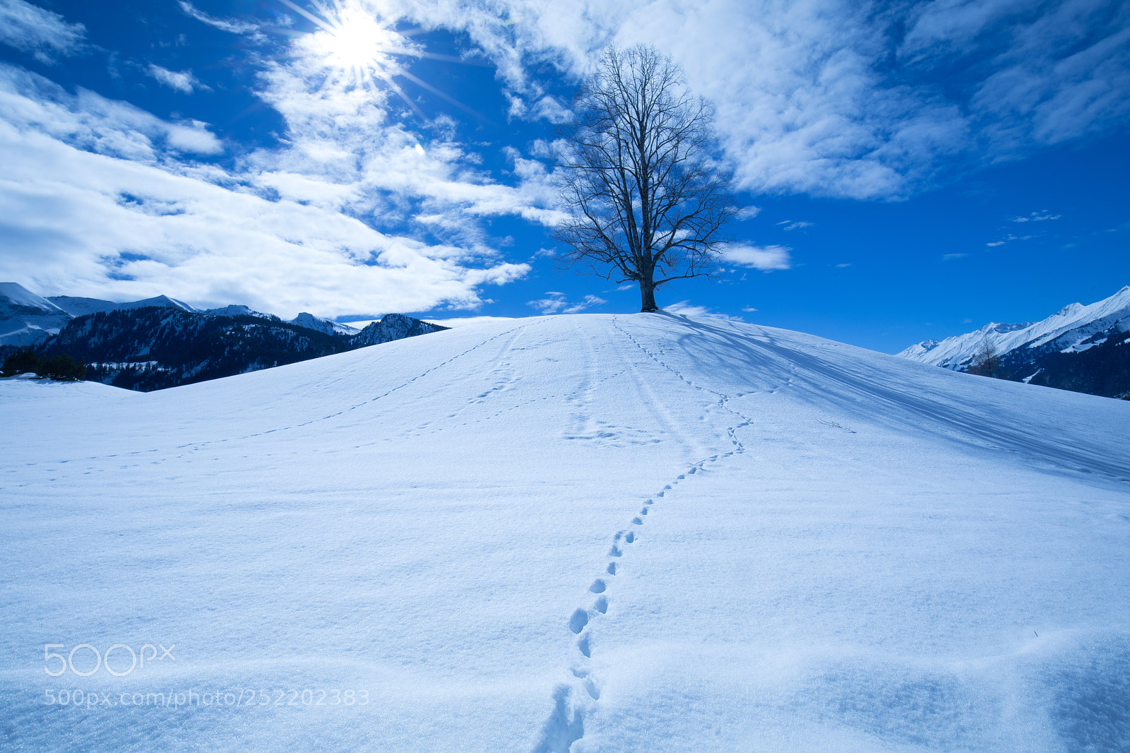 Canon EOS 5D Mark IV sample photo. Sunny wintery photography
