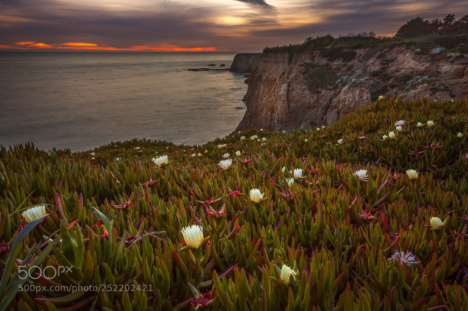 Canon EOS 5D Mark II sample photo. Davenport beach photography