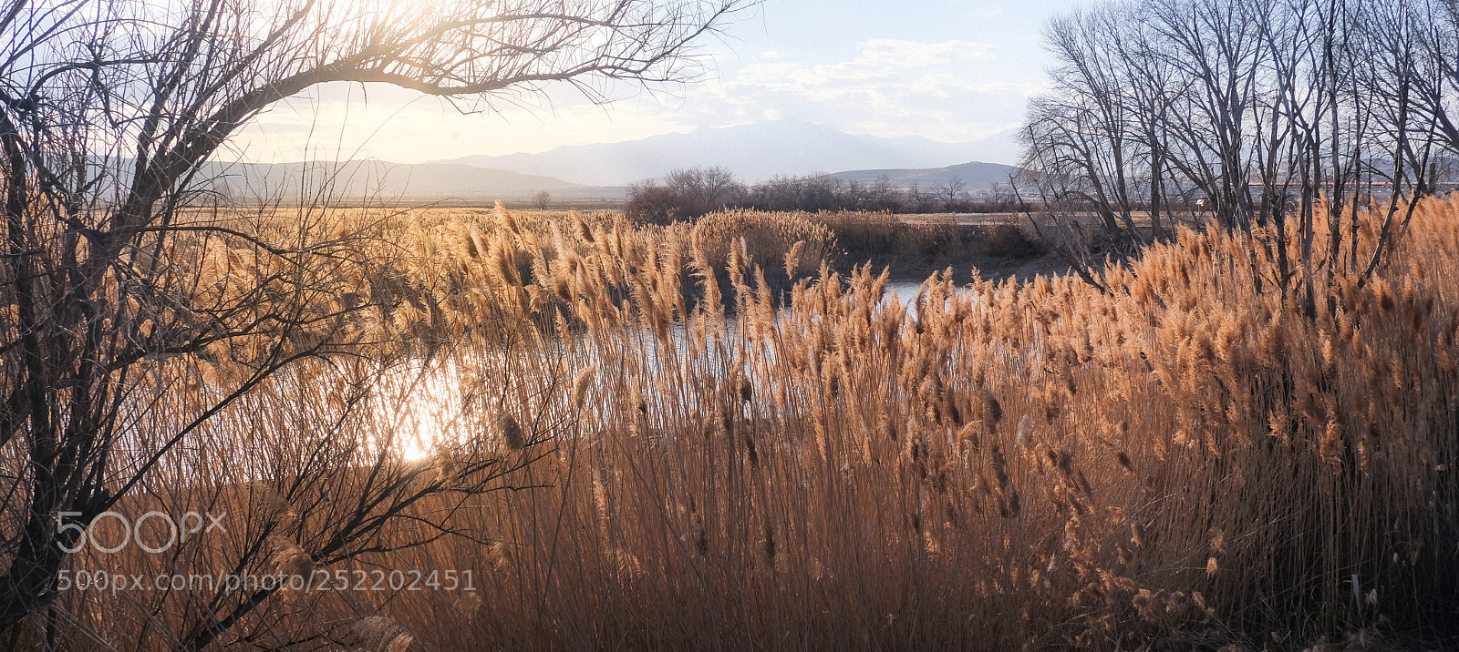 Fujifilm X-T2 sample photo. Jr riverwalk photography