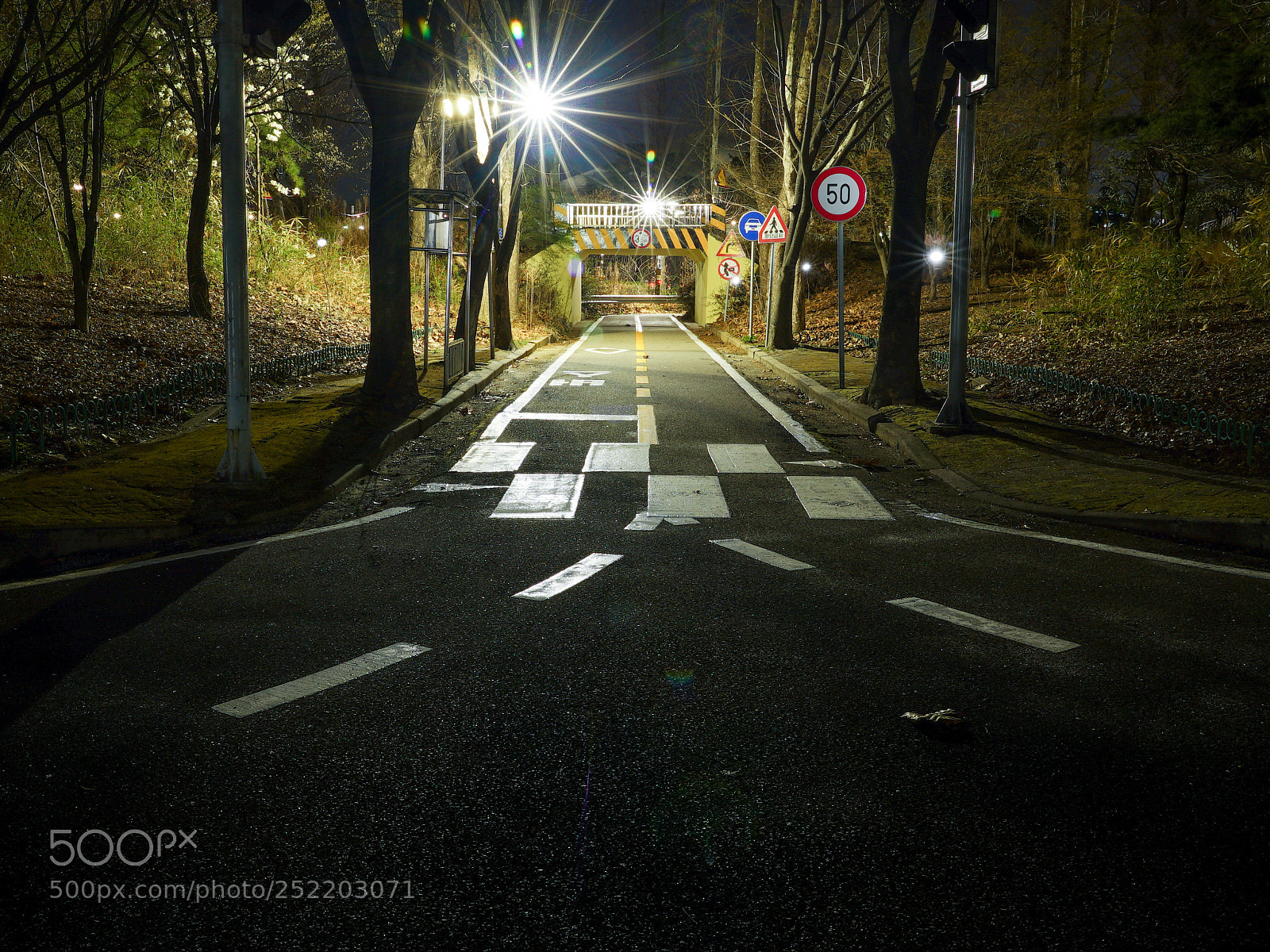 Sony a7S II sample photo. Untitled photography