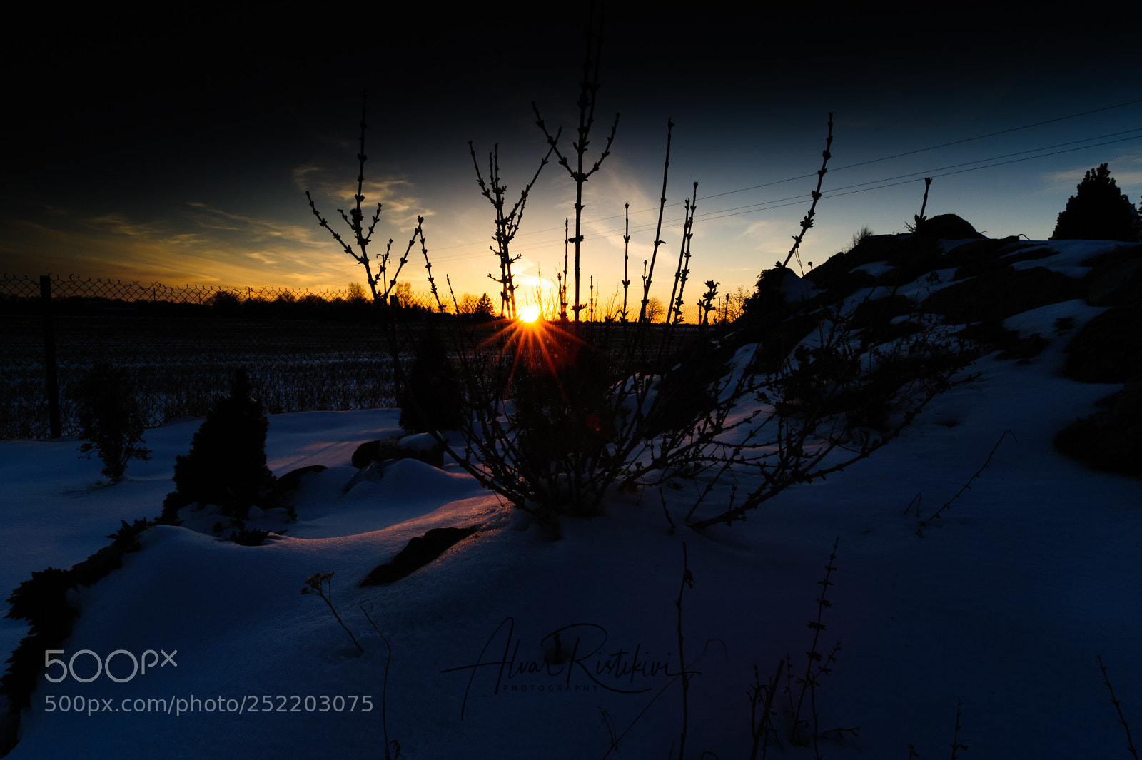 Nikon D3 sample photo. Sun photography