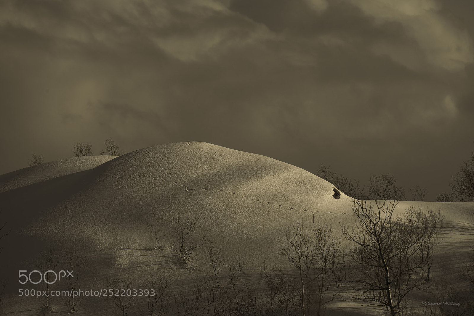 Nikon D810 sample photo. Silence photography