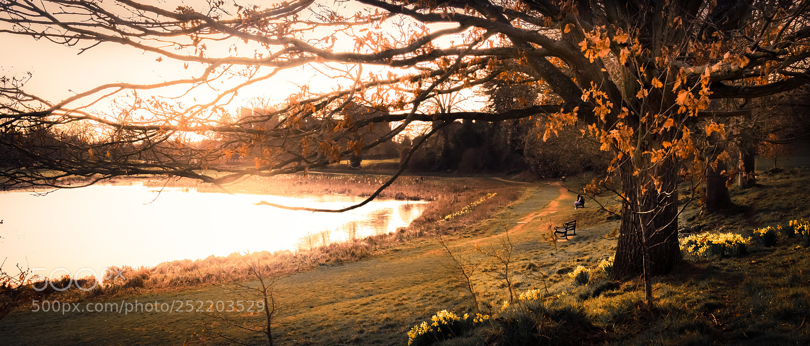 Canon EOS 60D sample photo. Abbey fields lake lx photography