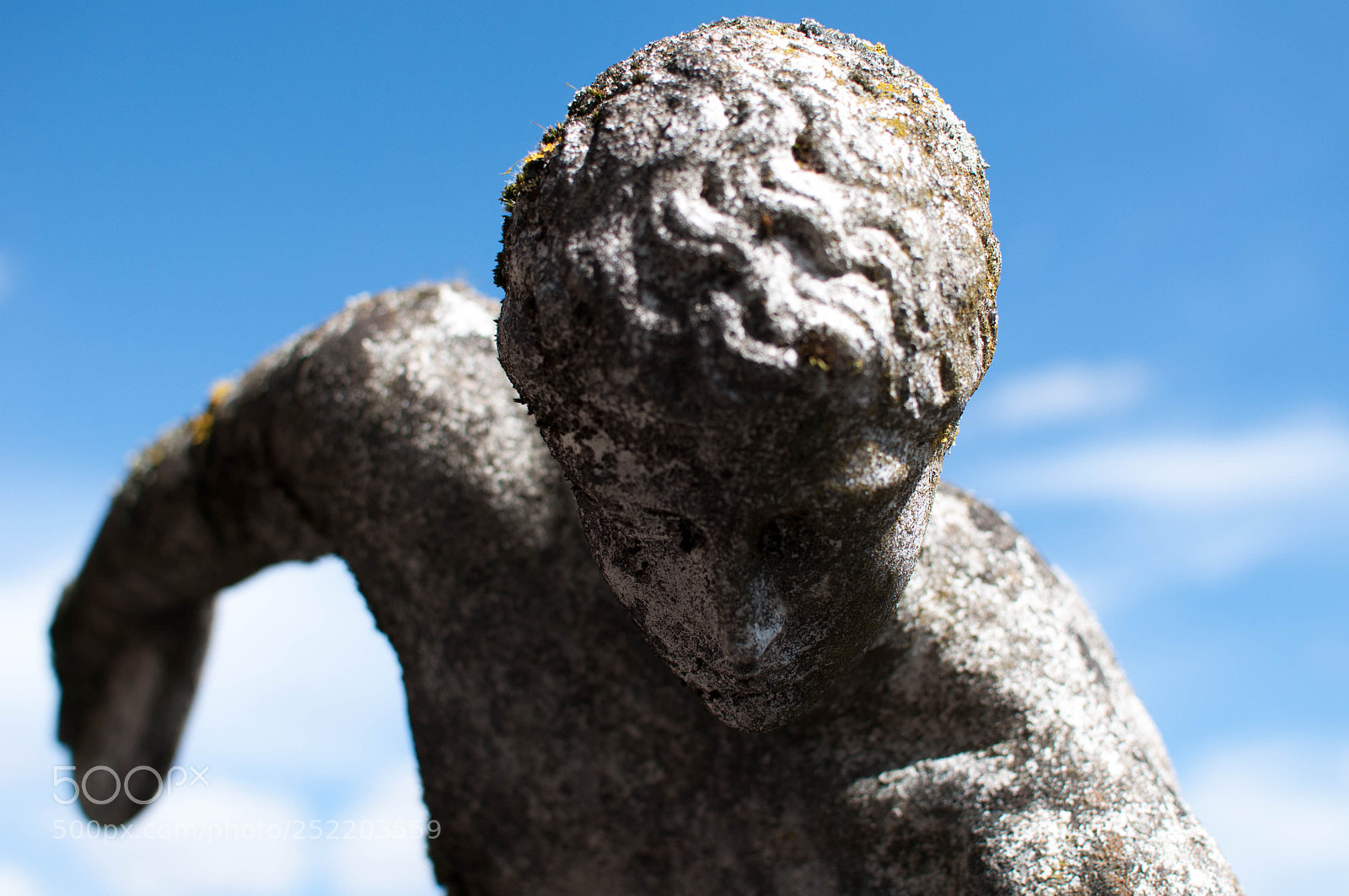 Nikon D5000 sample photo. Discobolus photography