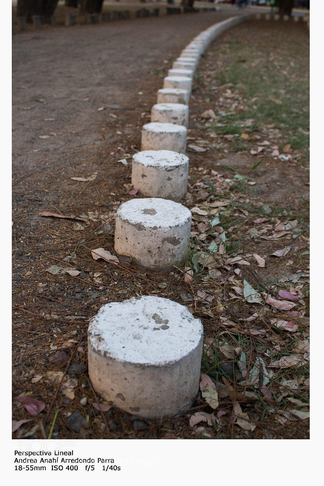Canon EOS 700D (EOS Rebel T5i / EOS Kiss X7i) sample photo. Lineal photography