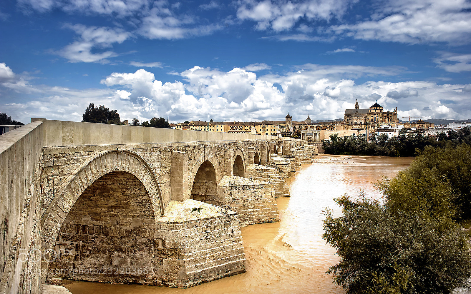 Nikon D3S sample photo. Roman bridge / cordoba photography