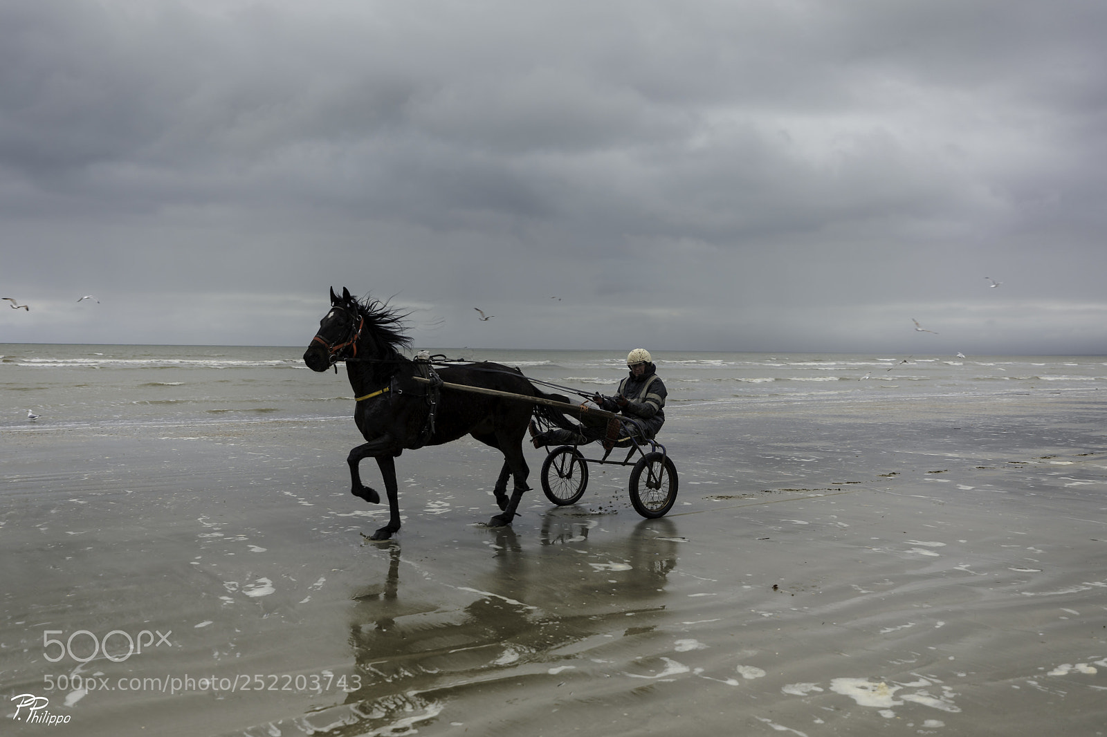Canon EOS 5D Mark IV sample photo. Horse ride on the photography