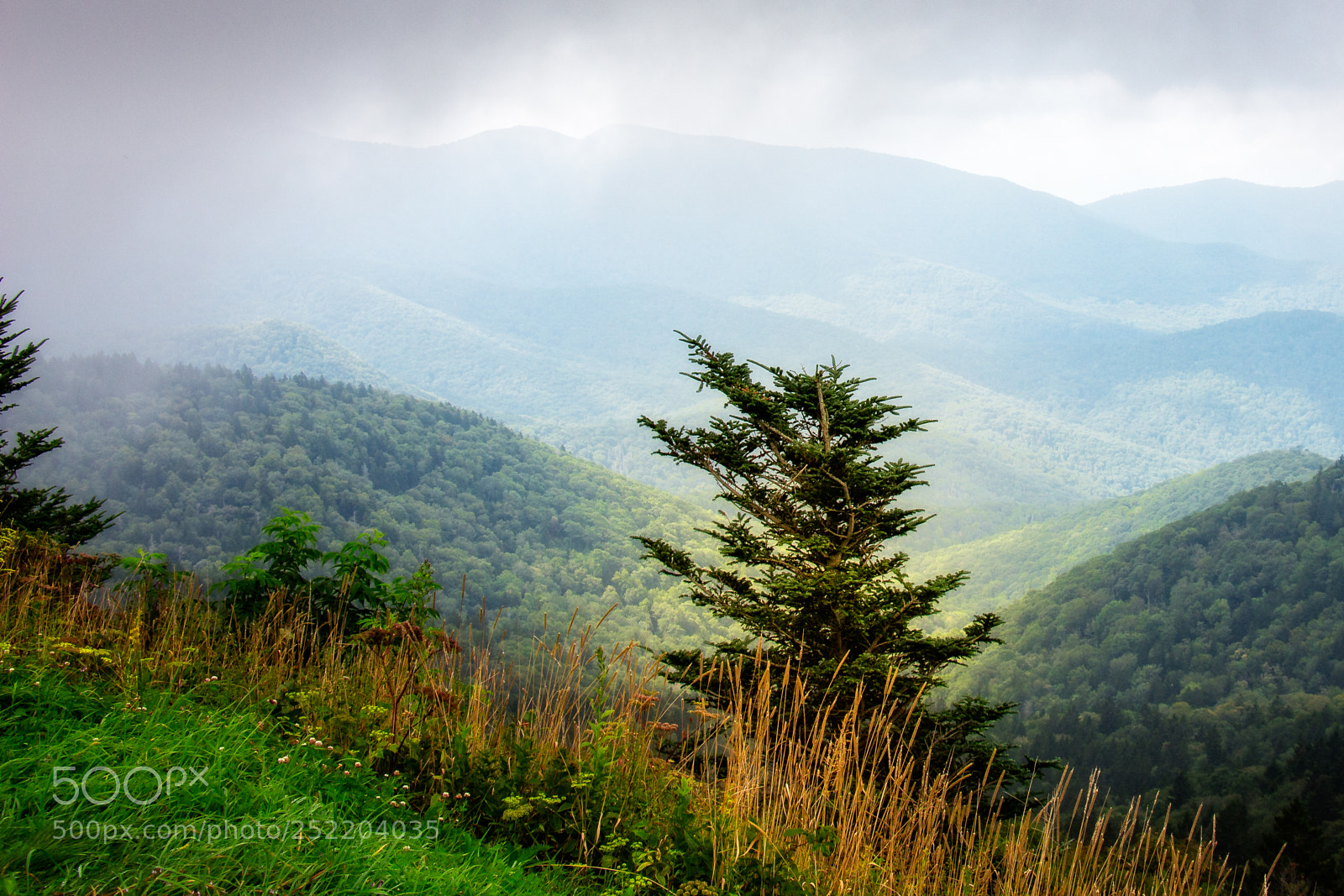 Canon EOS 650D (EOS Rebel T4i / EOS Kiss X6i) sample photo. Travelling the parkway photography