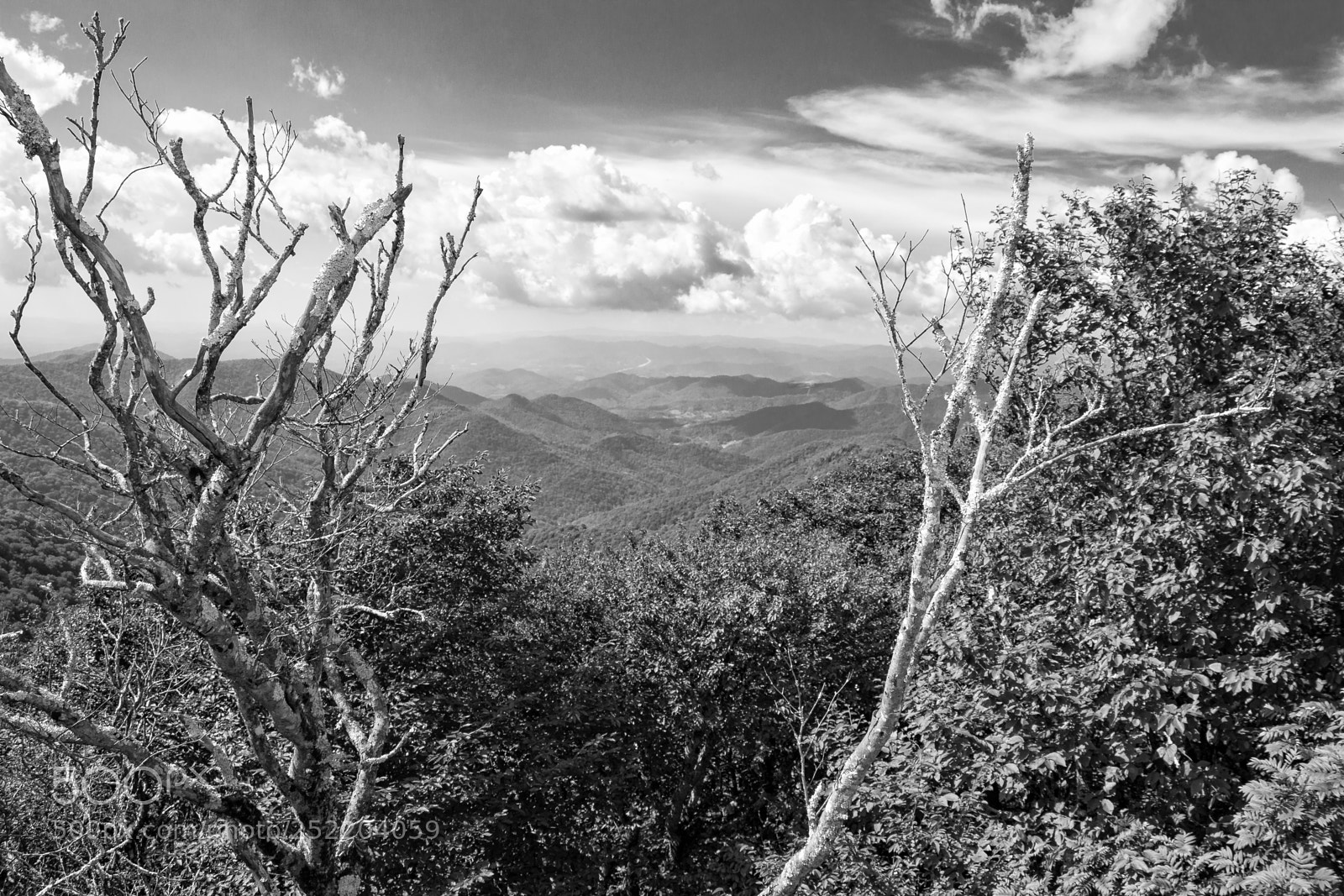 Canon EOS 650D (EOS Rebel T4i / EOS Kiss X6i) sample photo. Travelling the parkway photography