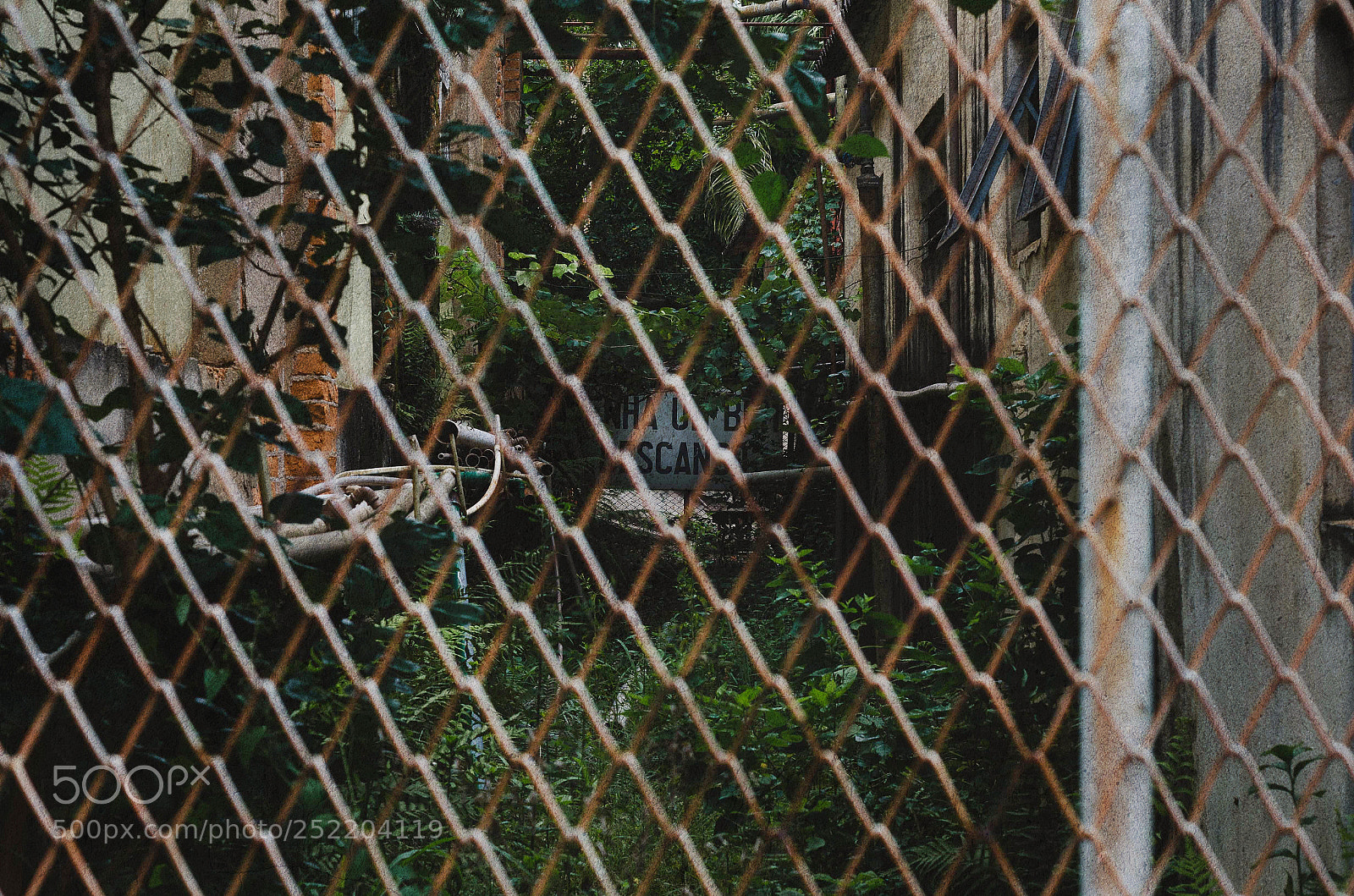 Nikon D7000 sample photo. Abandoned photography