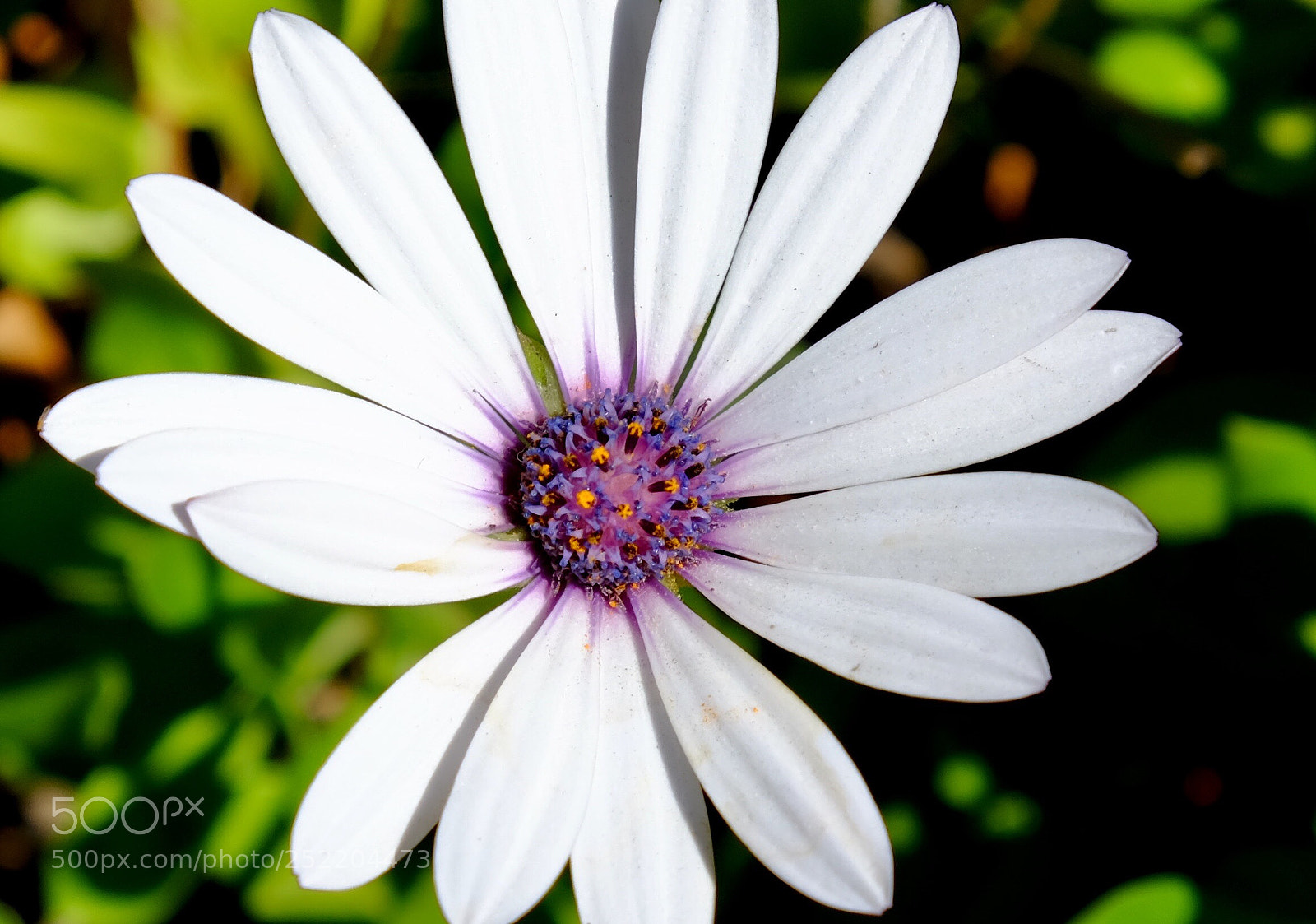 Fujifilm X-E2S sample photo. Hi photography