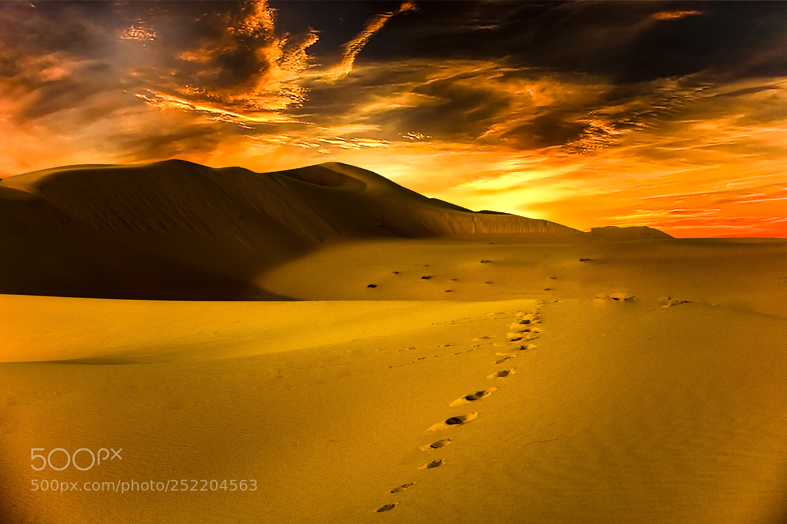 Canon EOS 5DS R sample photo. Pure desert and sunset photography