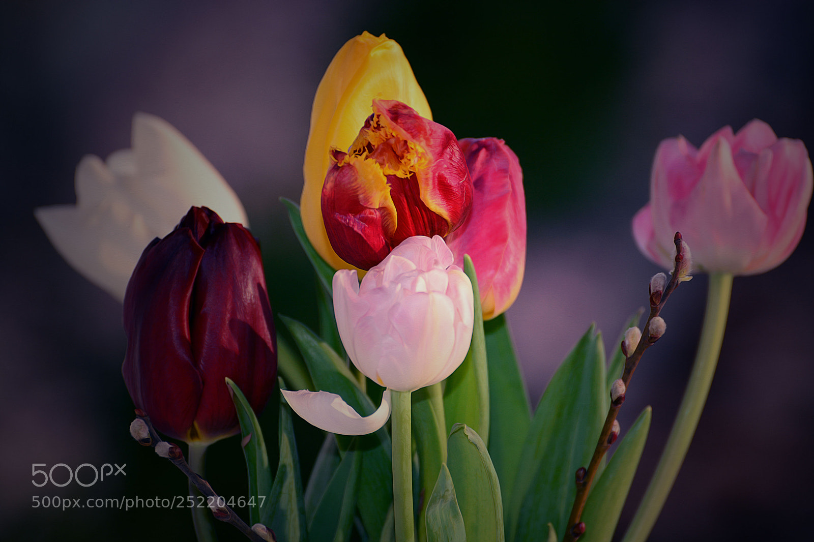 Nikon D7100 sample photo. Untitled photography