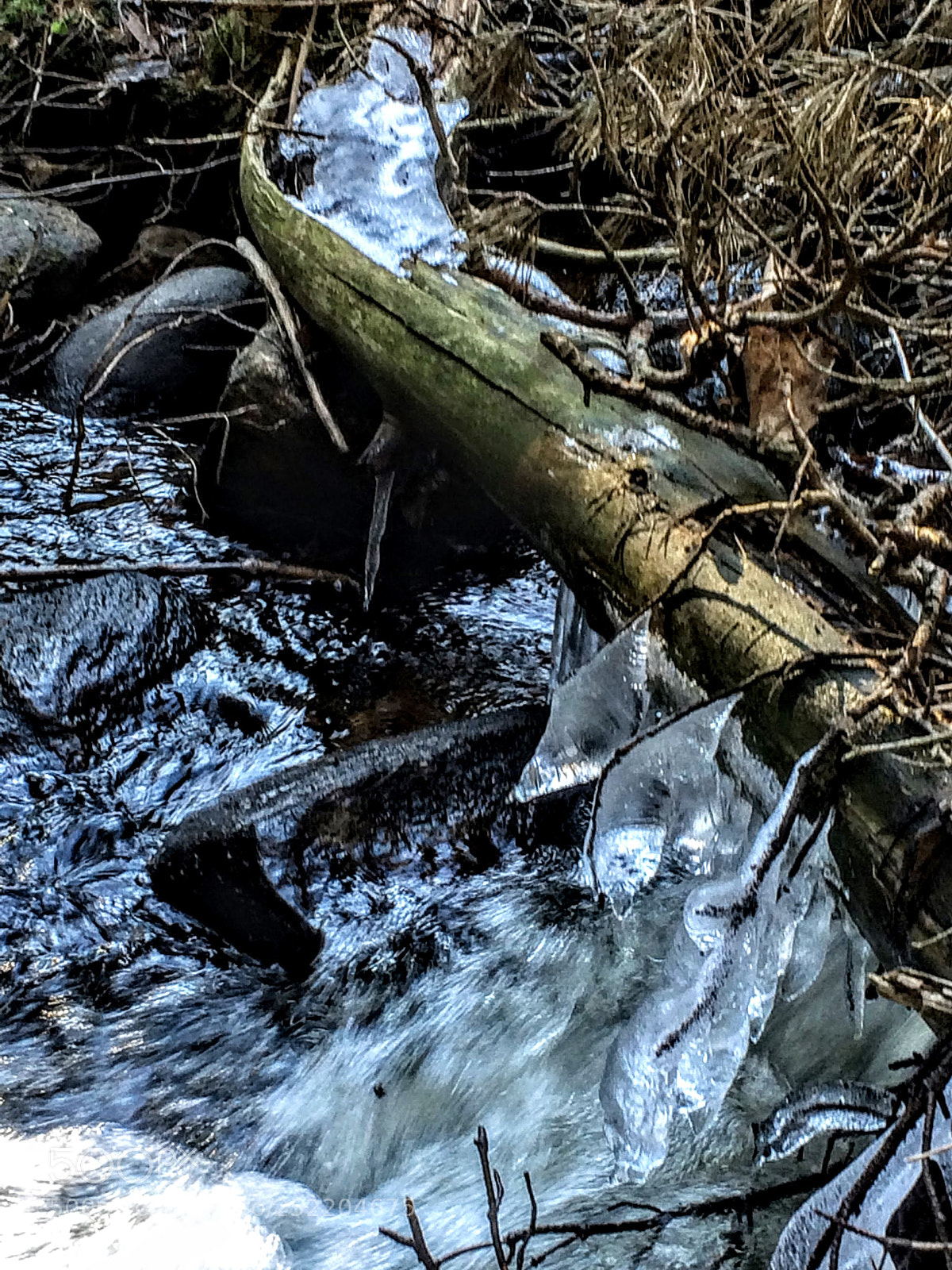 Apple iPhone 5s sample photo. Forest stream photography