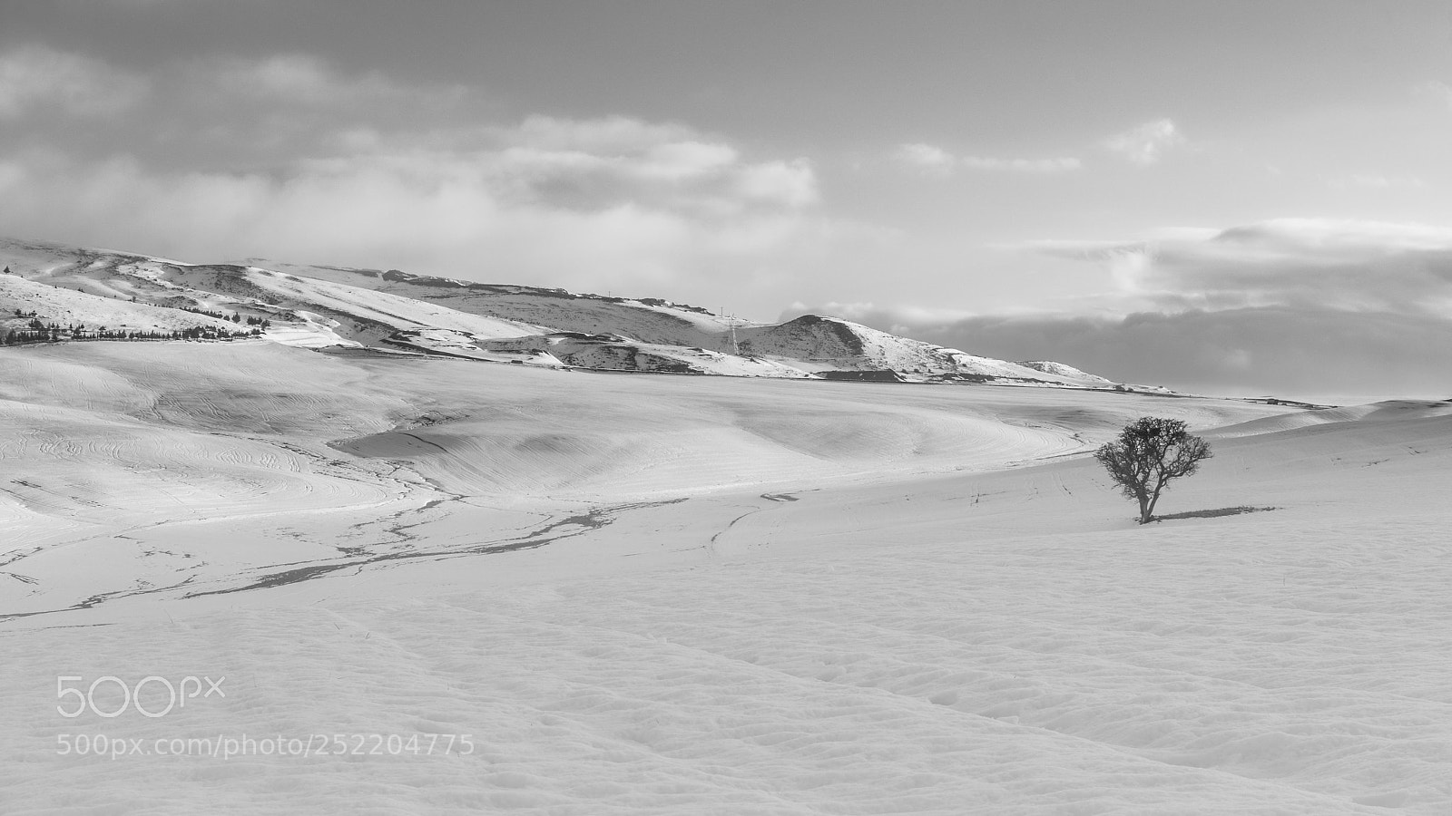 Nikon D7100 sample photo. White carpet photography