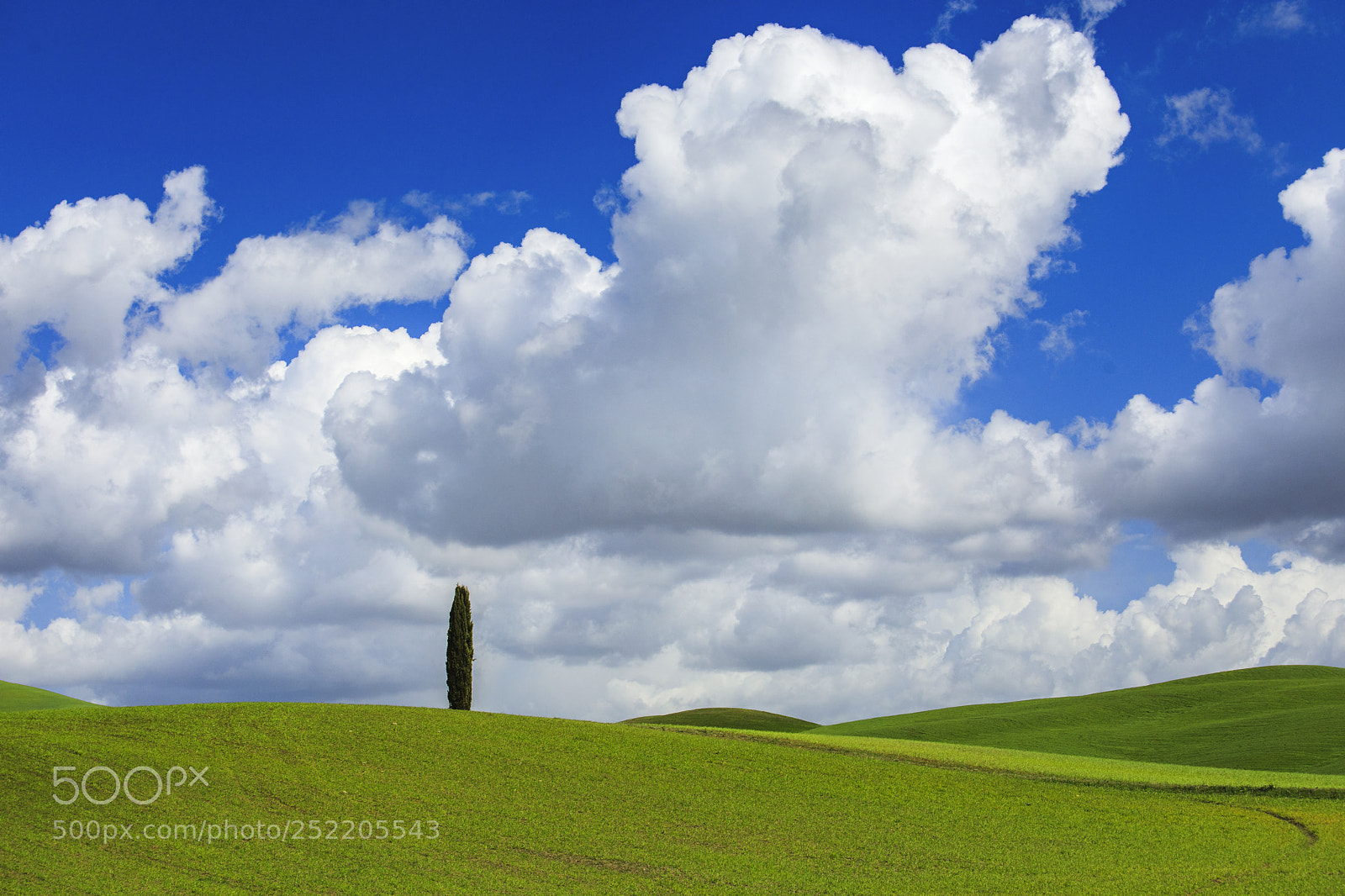 Canon EOS 5D Mark IV sample photo. Colors of tuscany photography
